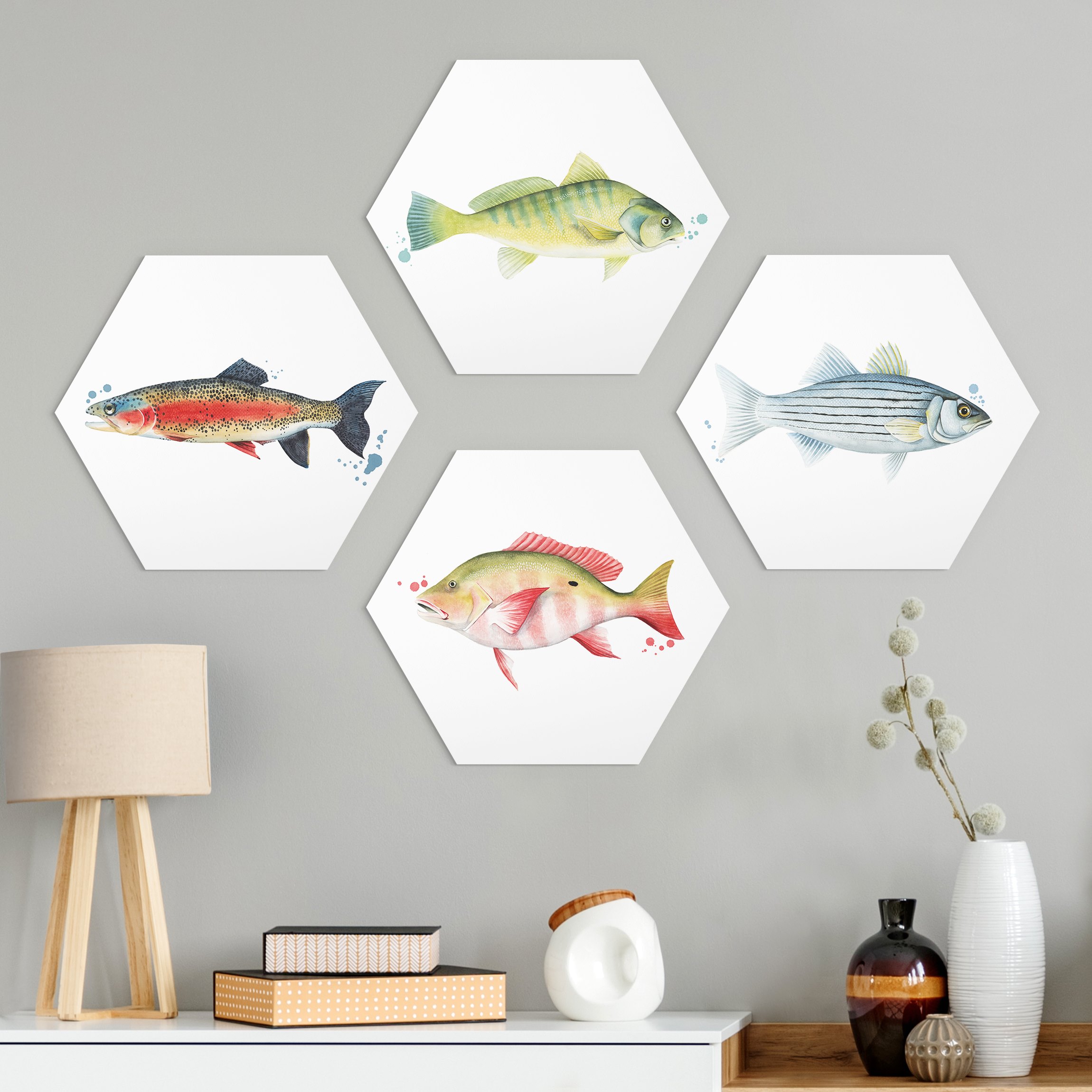 4-teiliges Hexagon-Alu-Dibond Bild Farbfang - Fische Set I