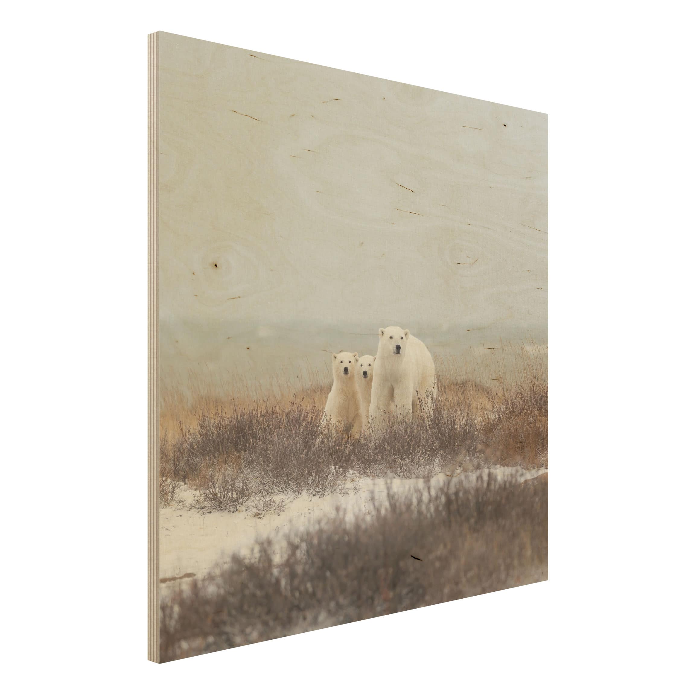 Holzbild Tiere Eisbärin und ihre Jungen