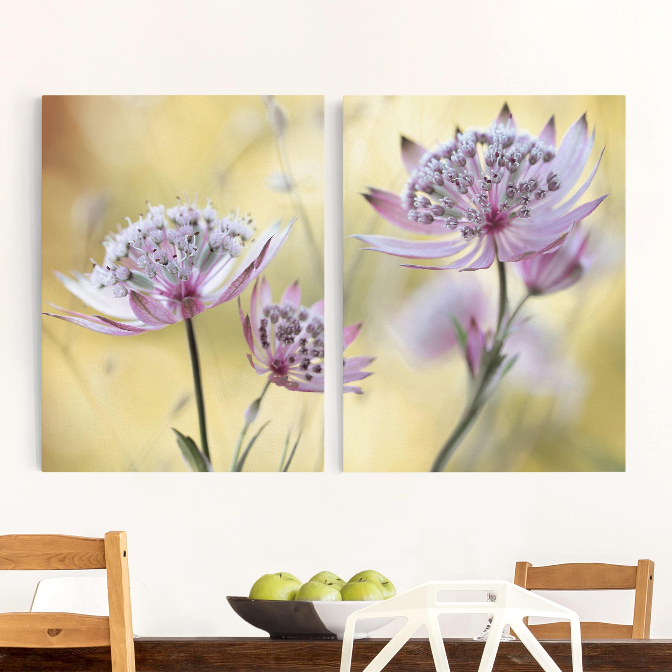 2-teiliges Leinwandbild Blumen Astrantia Major