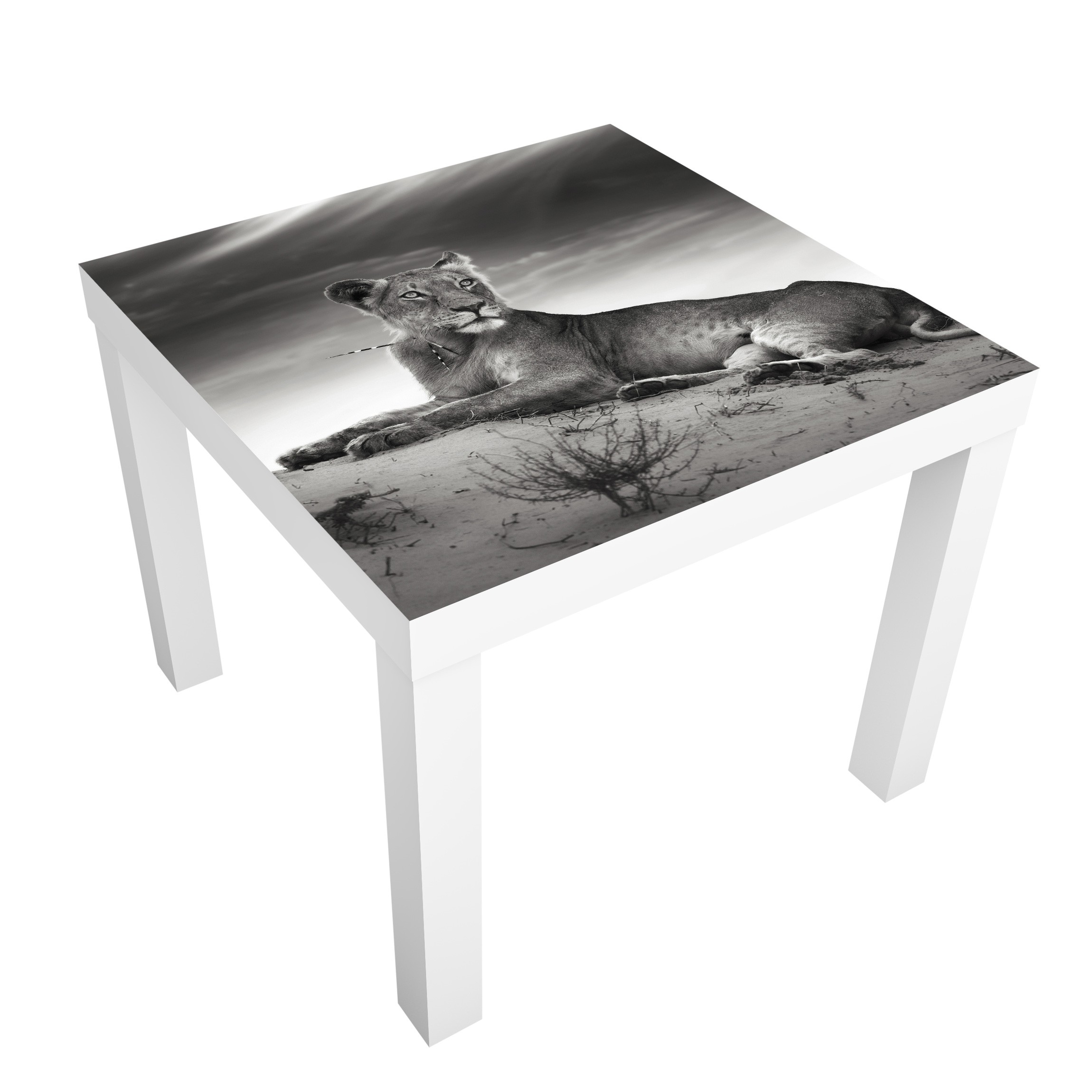 Möbelfolie für IKEA Lack Tisch 55 x 55 cm Resting Lion