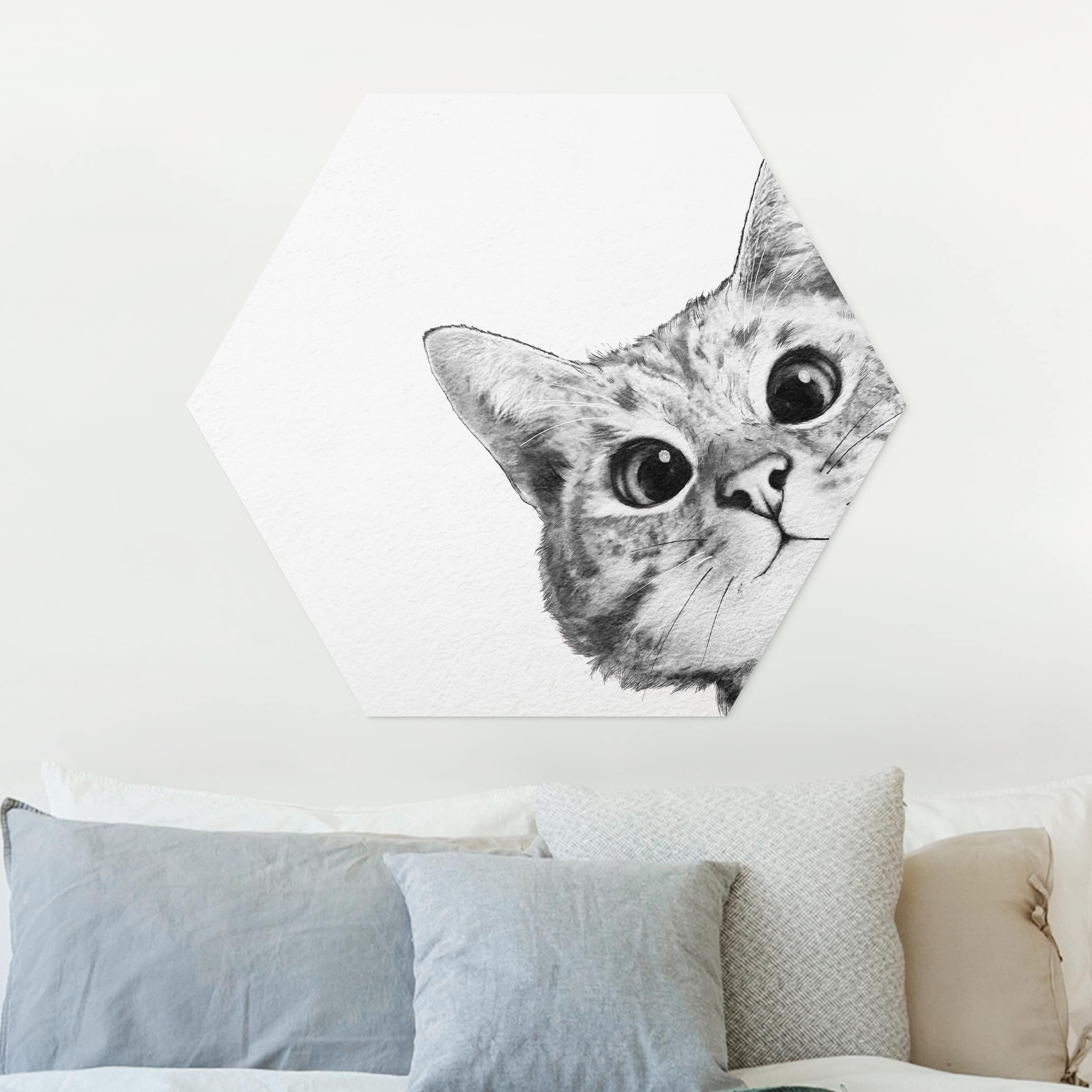 Hexagon-Forexbild Illustration Katze Zeichnung Schwarz Weiß