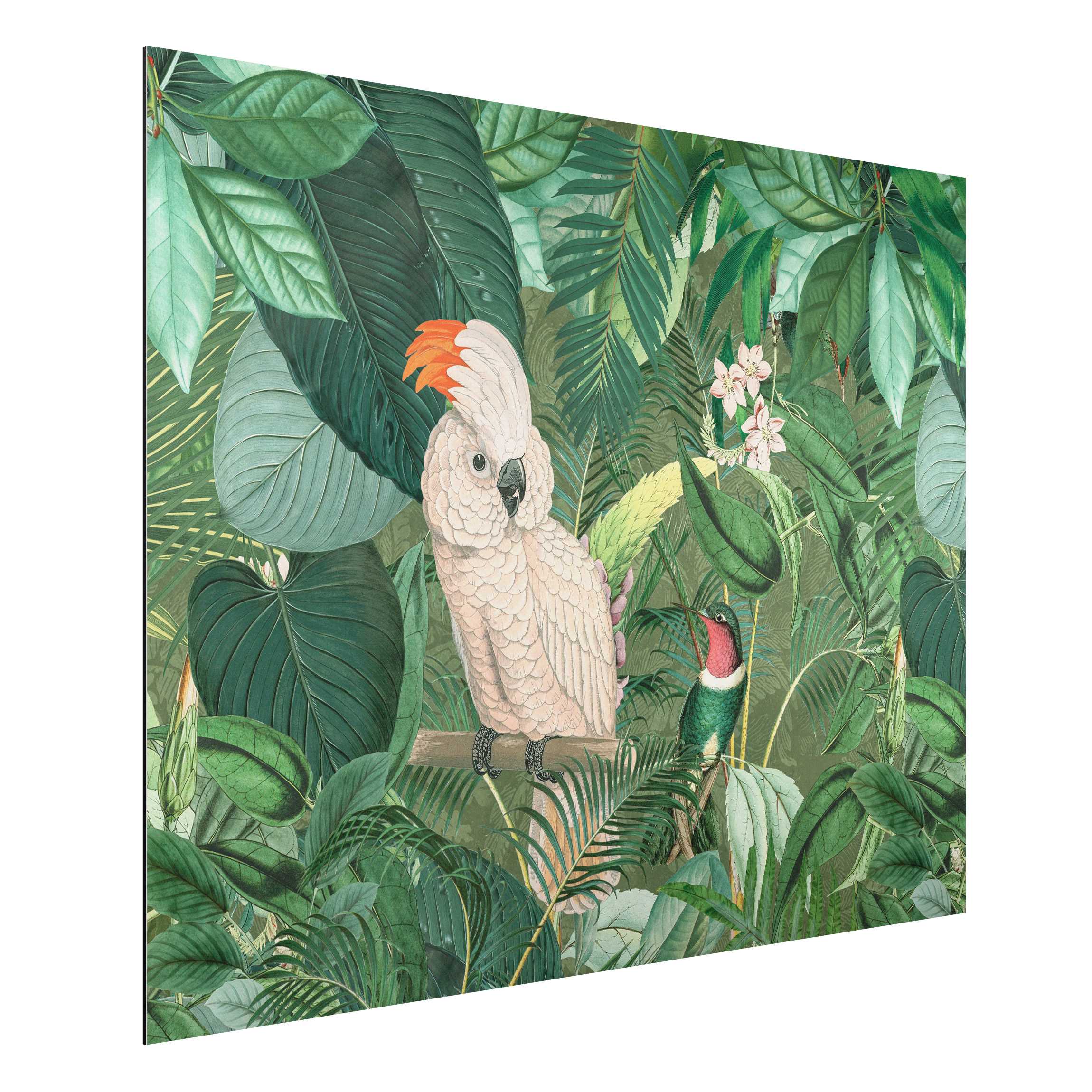 Alu-Dibond Outdoor Bild Vintage Collage - Kakadu und Kolibri