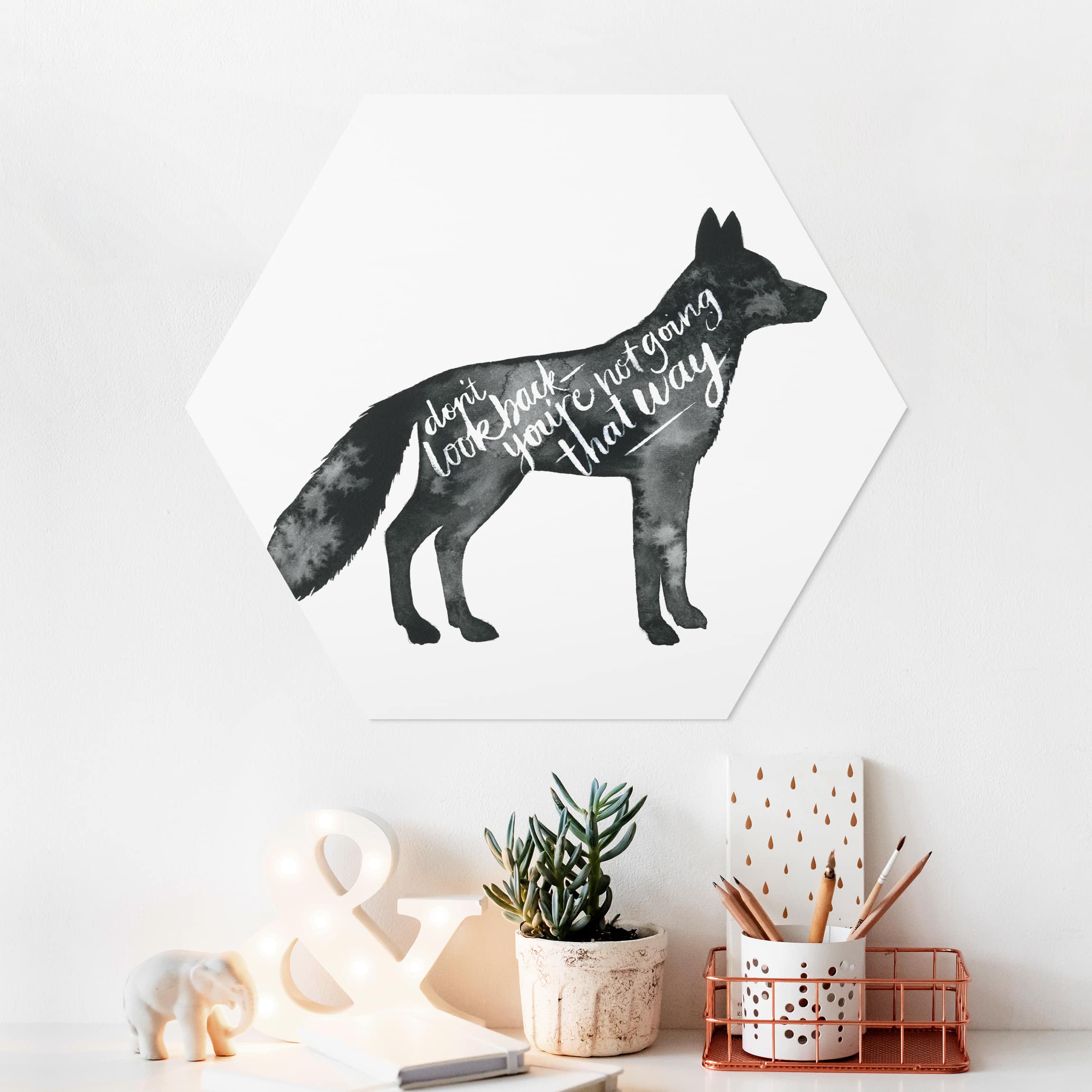 Hexagon-Forexbild Tiere mit Weisheit - Fuchs
