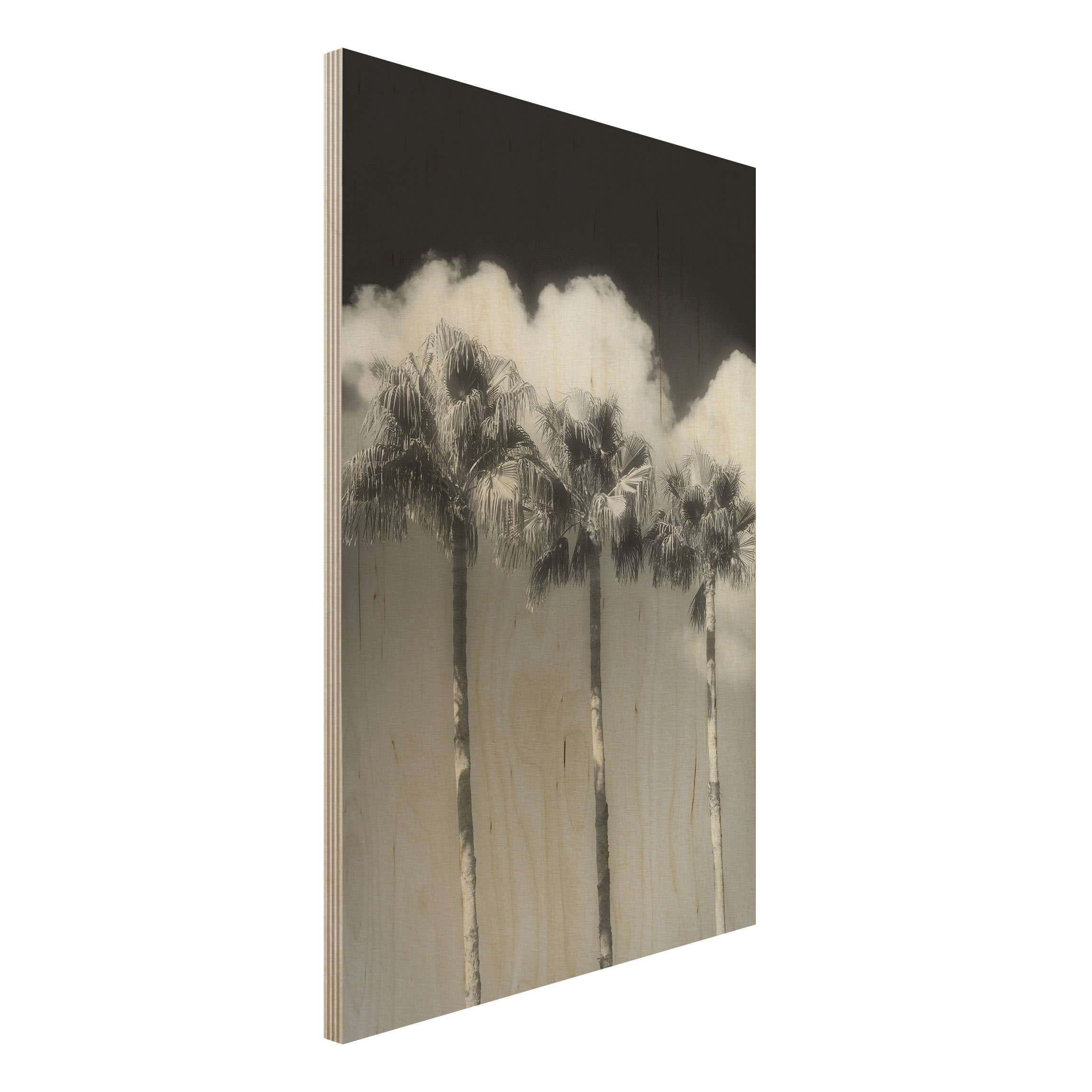 Holzbild Palmen vor Himmel Schwarz-Weiß