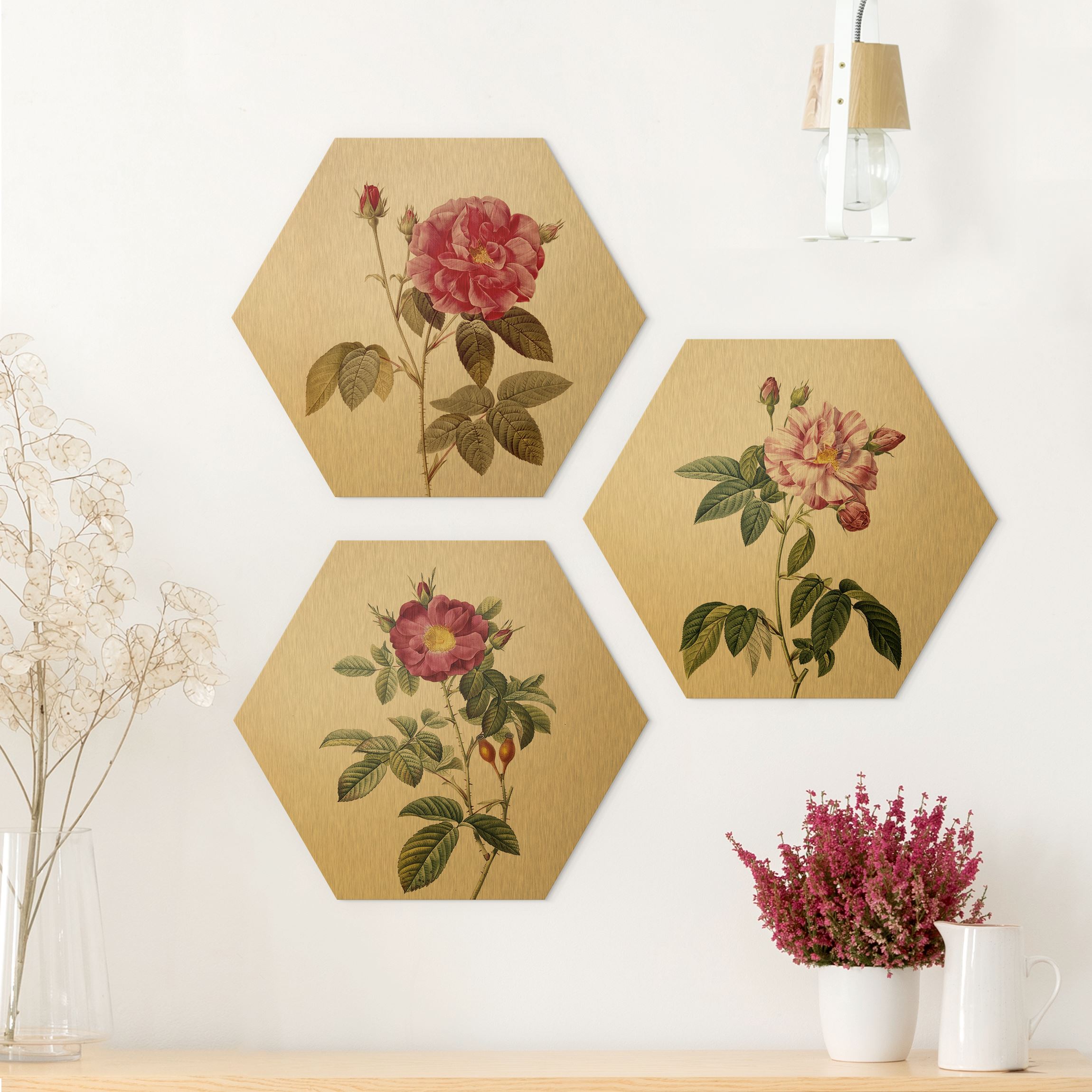 3-teiliges Hexagon-Alu-Dibond Bild Pierre Joseph Redouté - Rosen