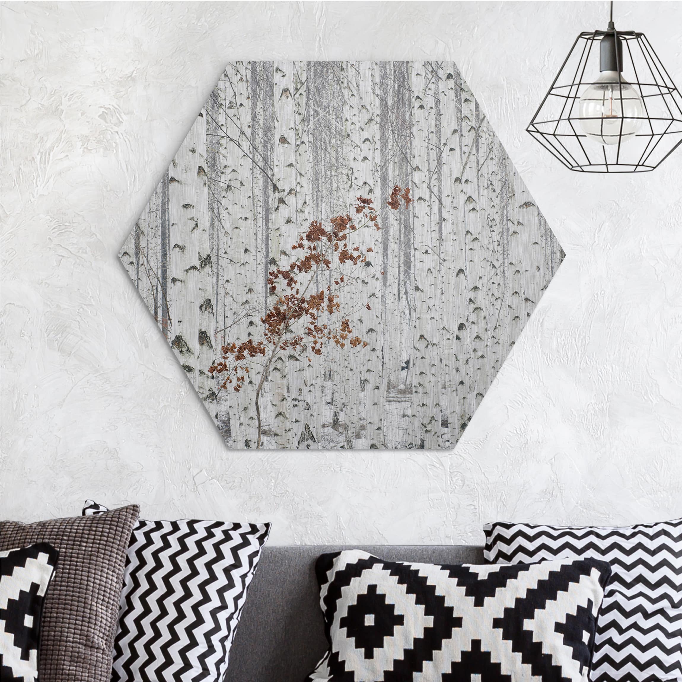 Hexagon-Alu-Dibond Bild Birken im Herbst