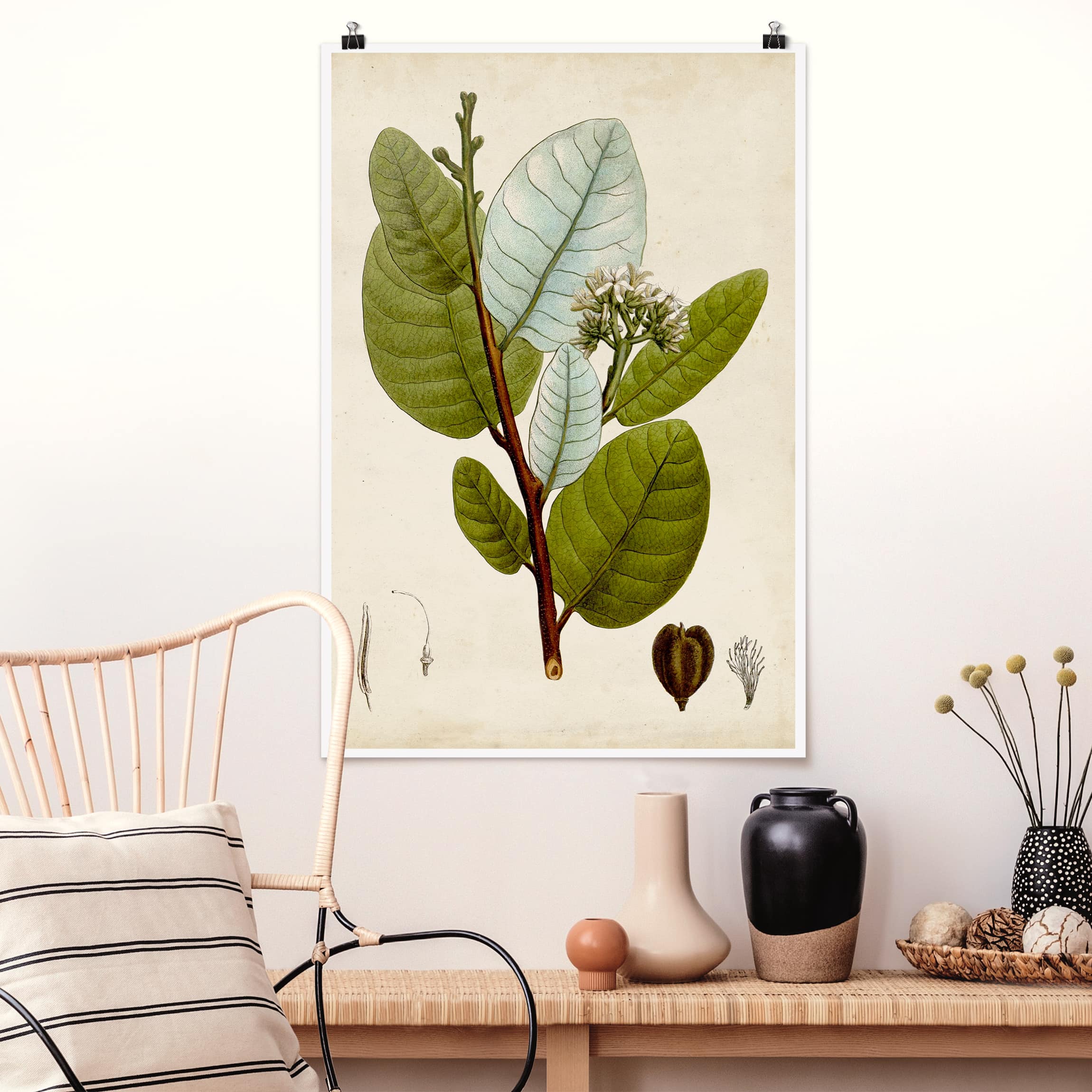 Poster - Hochformat Laubbaum Schautafel I