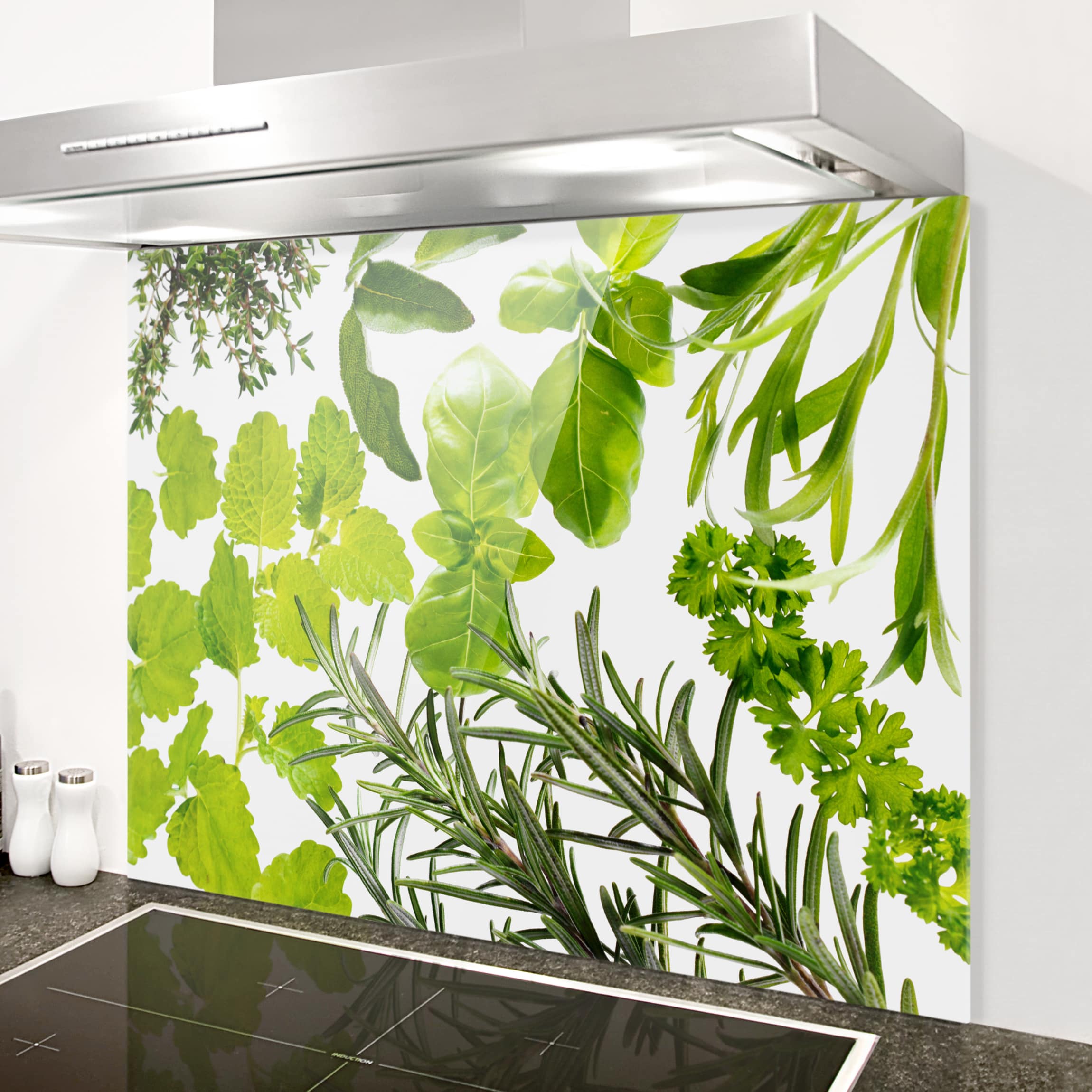 Spritzschutz Verschiedene Kräuter