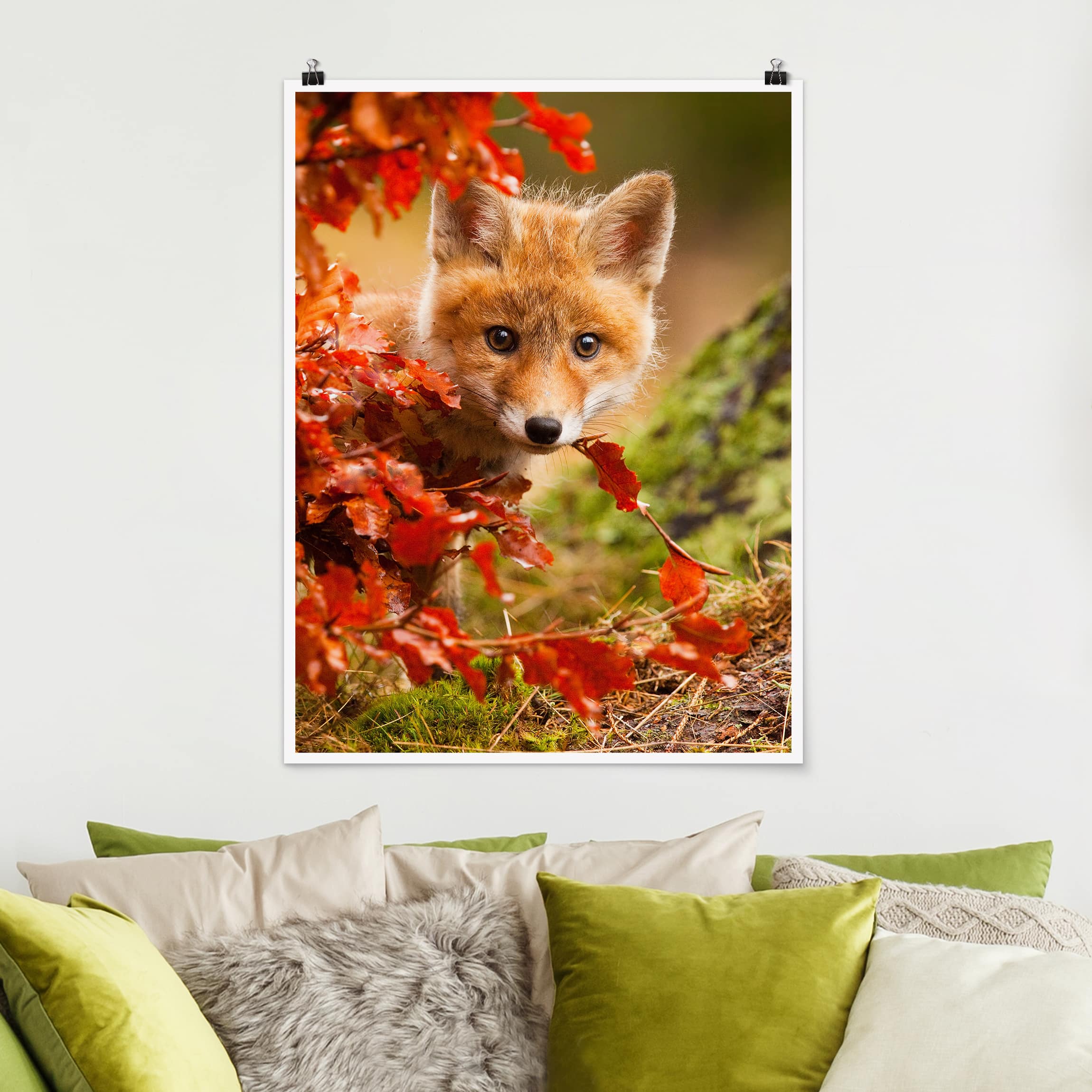 Poster Tiere Fuchs im Herbst