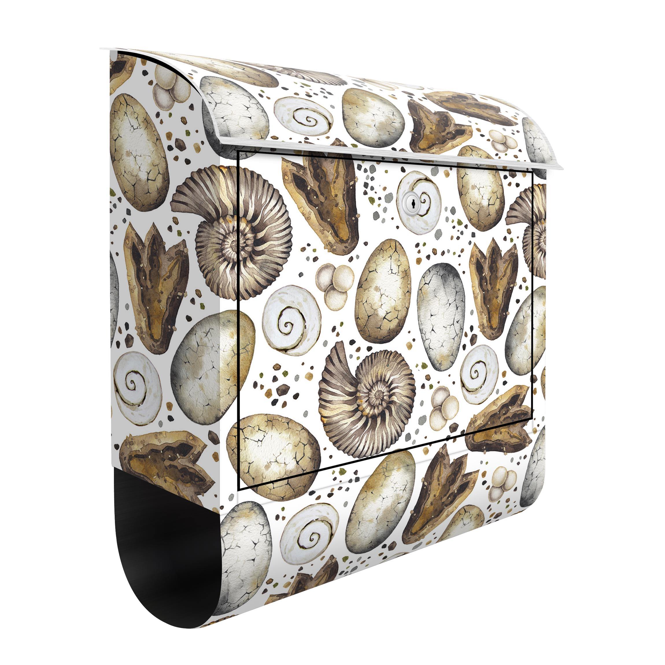 Briefkasten Entdecker der Dinosaurier Eier und Abdrücke