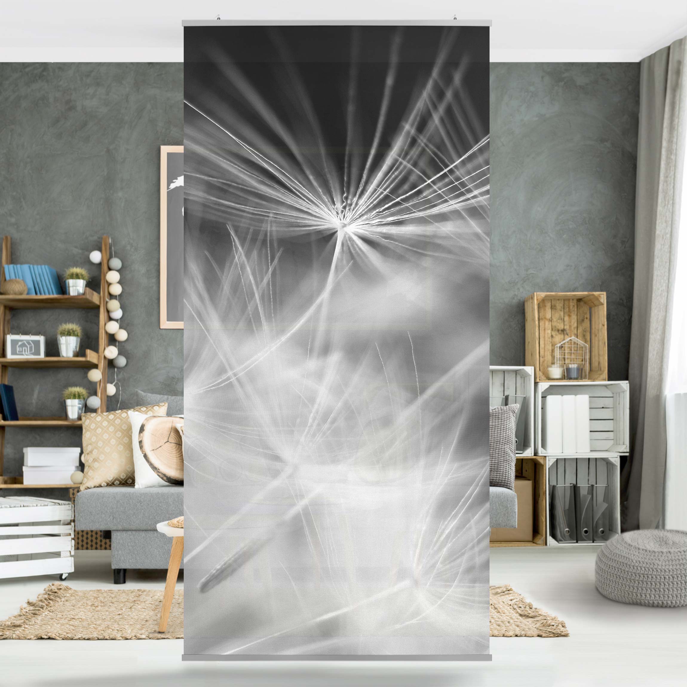 Raumteiler Bewegte Pusteblumen Nahaufnahme auf schwarzem Hintergrund