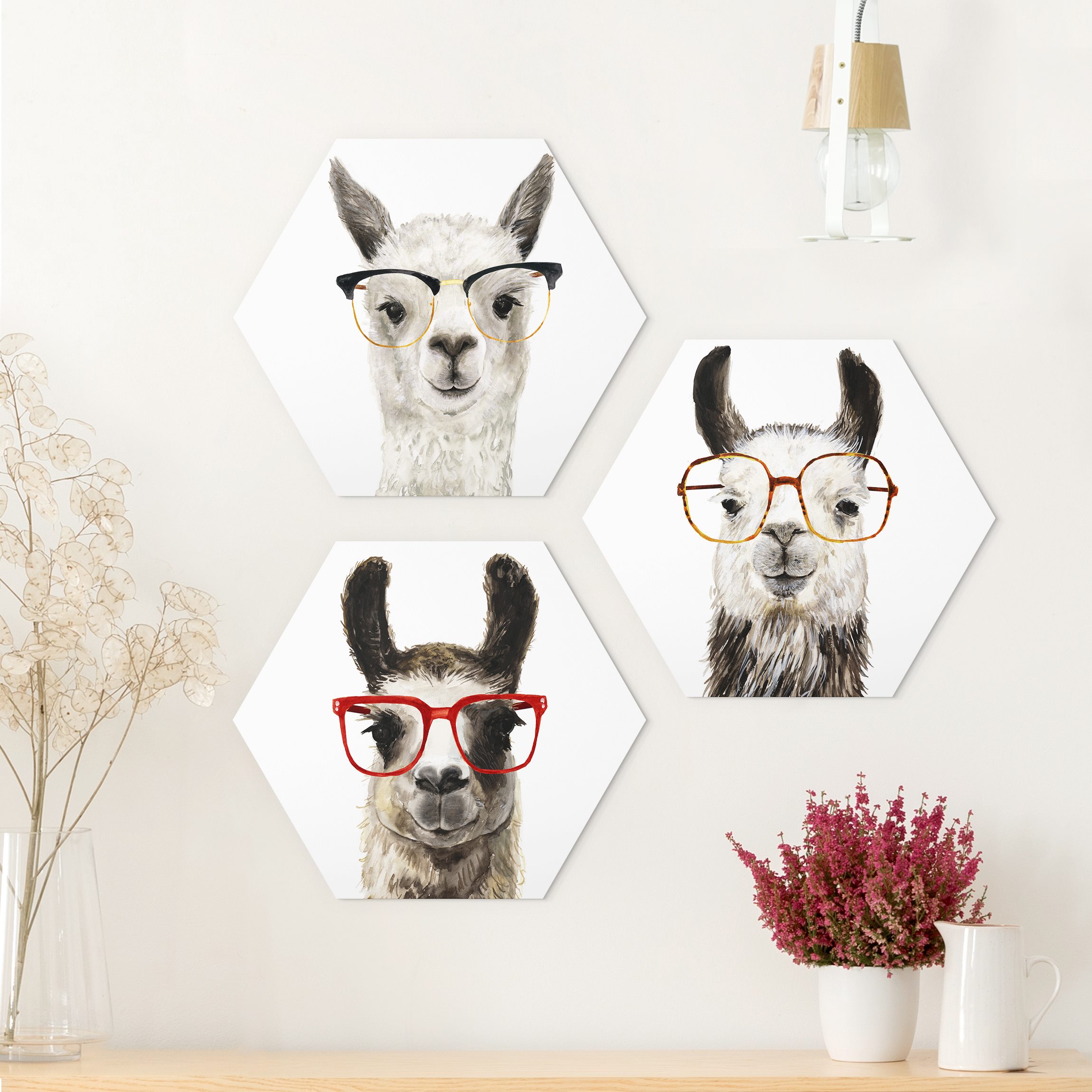 3-teiliges Hexagon-Alu-Dibond Bild Hippe Lamas mit Brille Set I