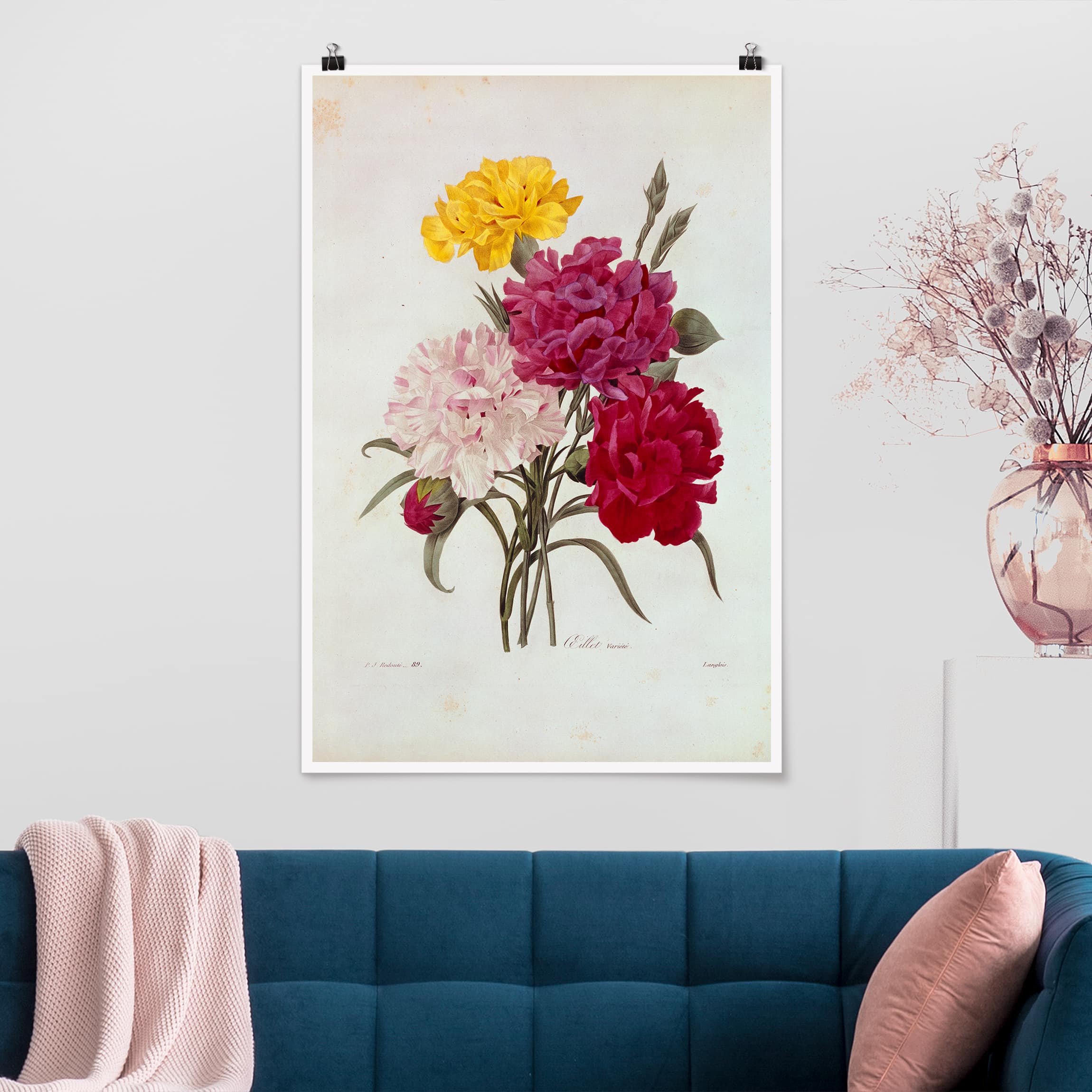 Poster - Hochformat Pierre Joseph Redouté - Nelken