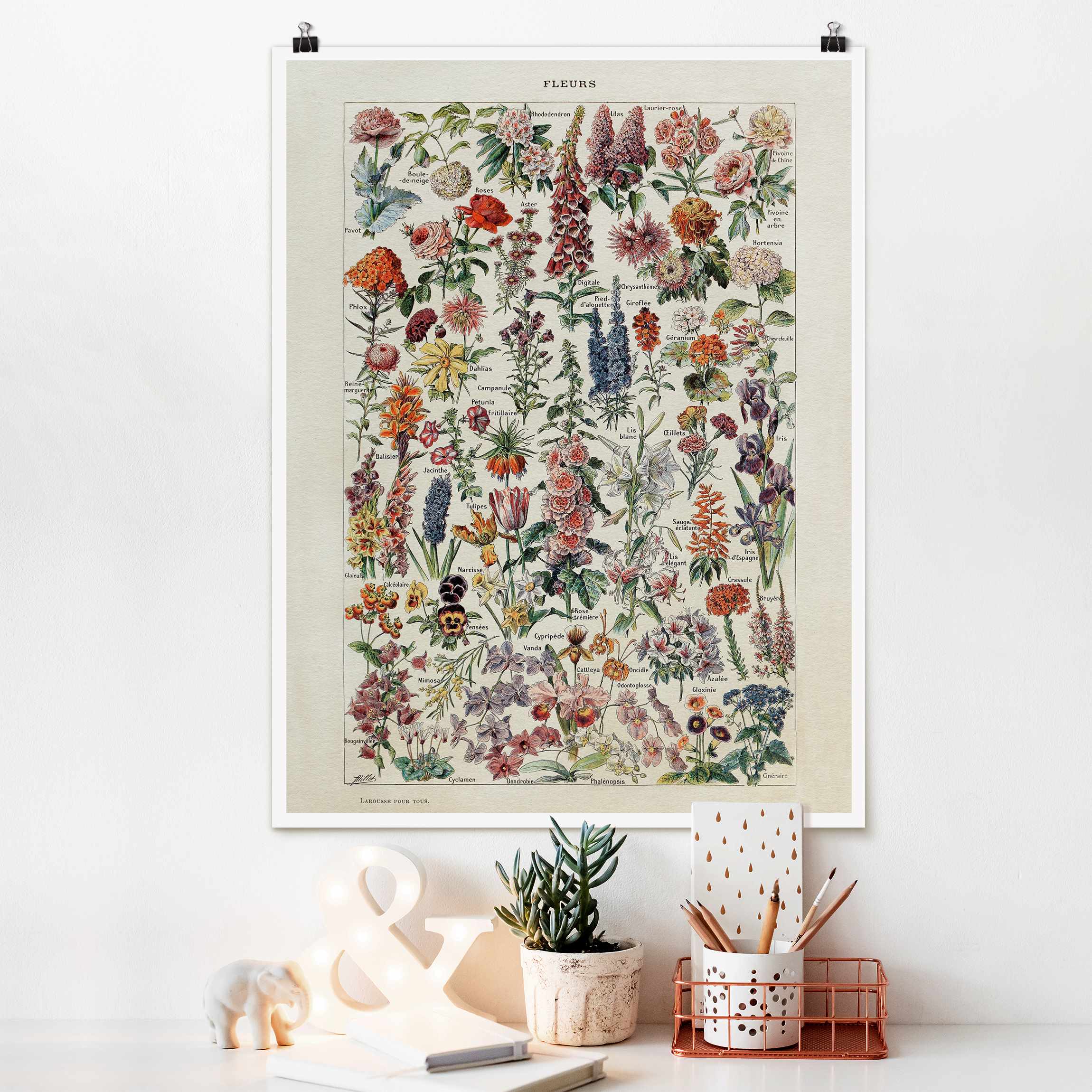 Poster Vintage Lehrtafel Blumen V