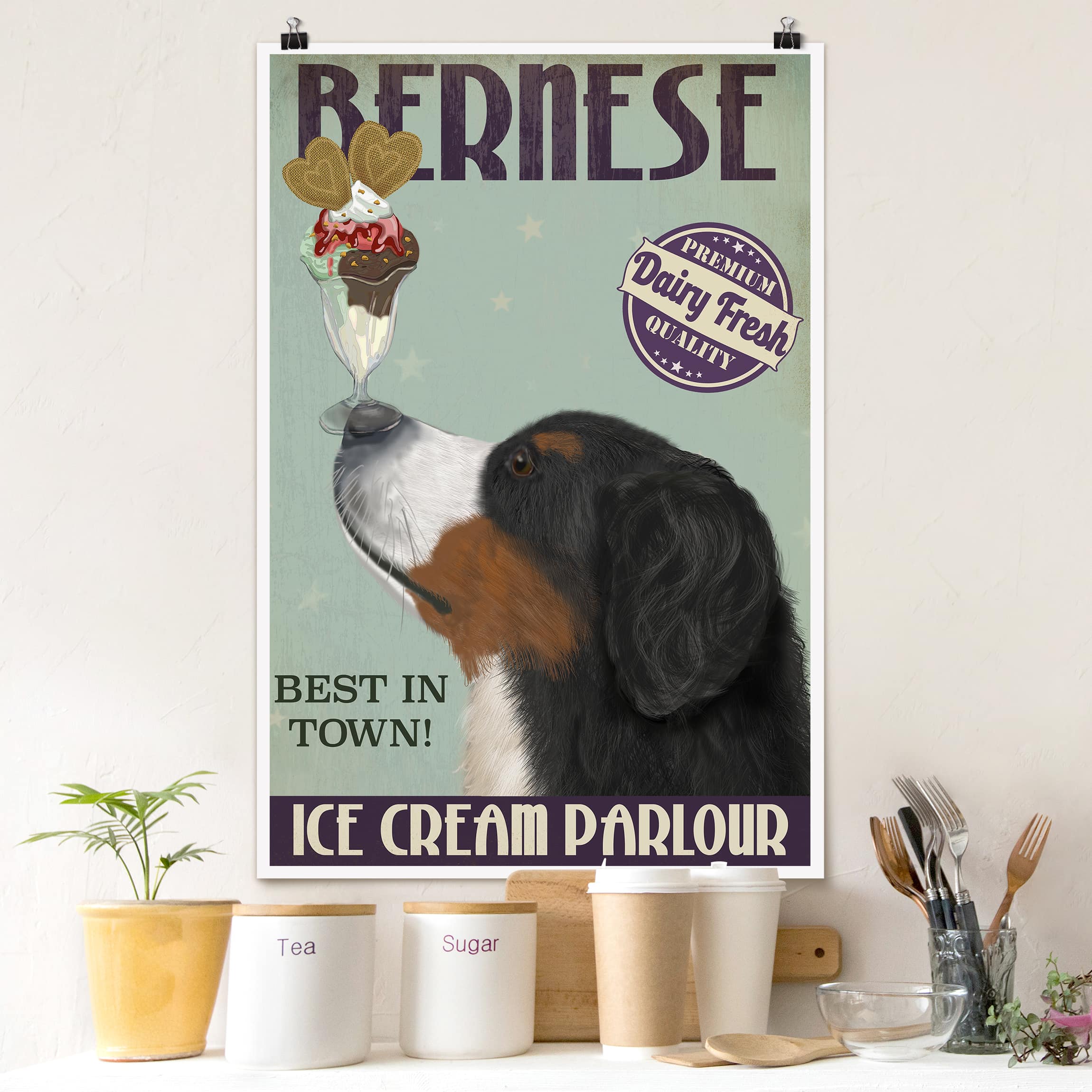 Poster Berner Sennenhund mit Eis