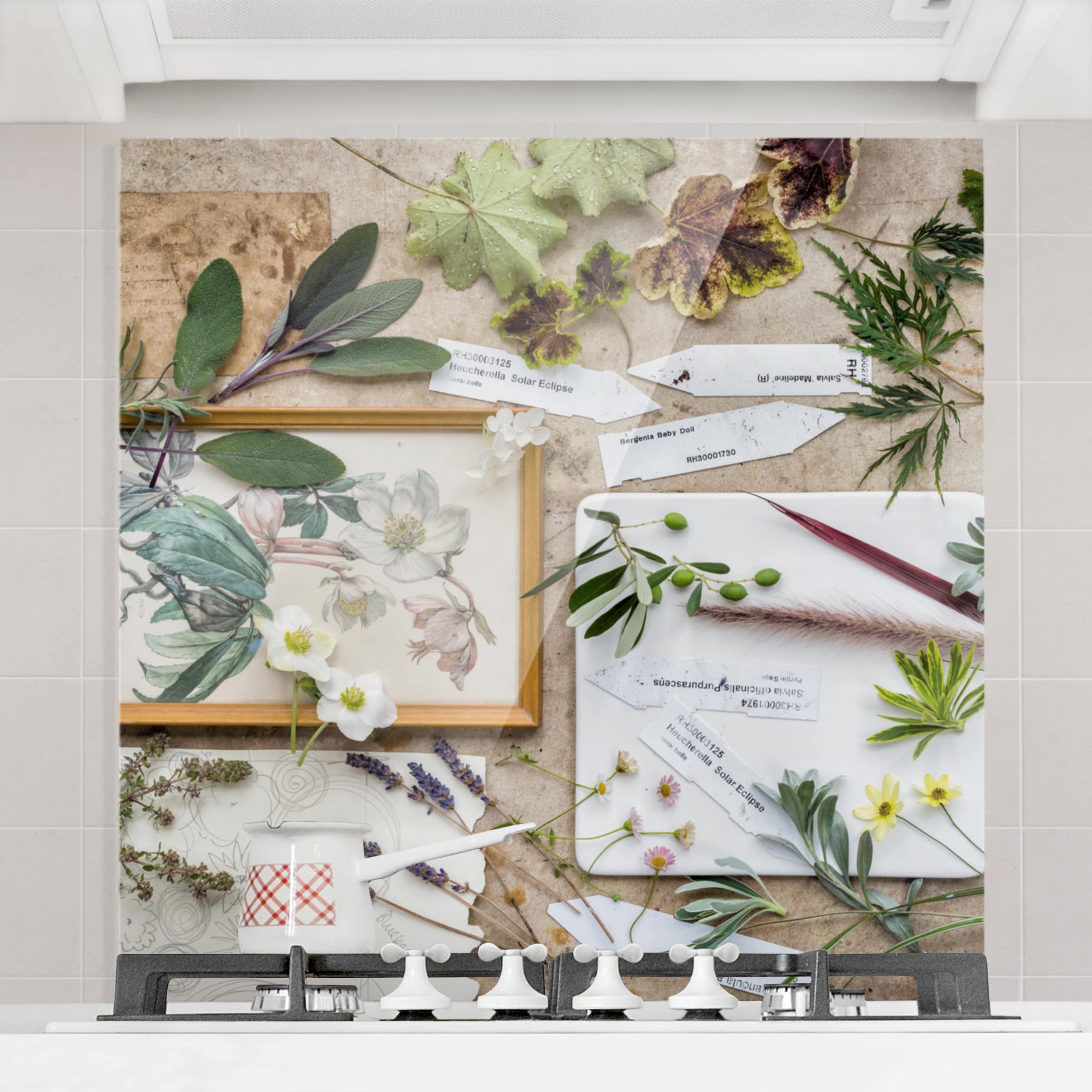 Spritzschutz Blumen und Gartenkräuter Vintage