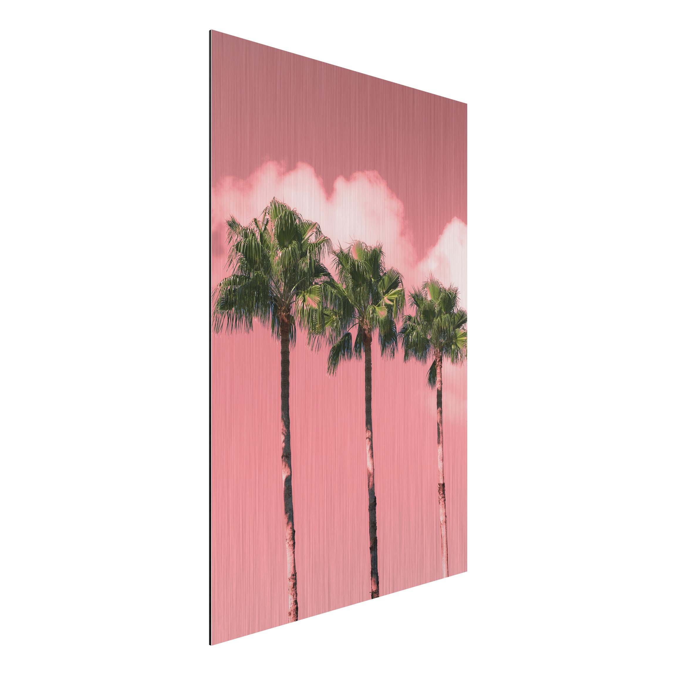 Alu-Dibond Bild Palmen vor Himmel Rosa