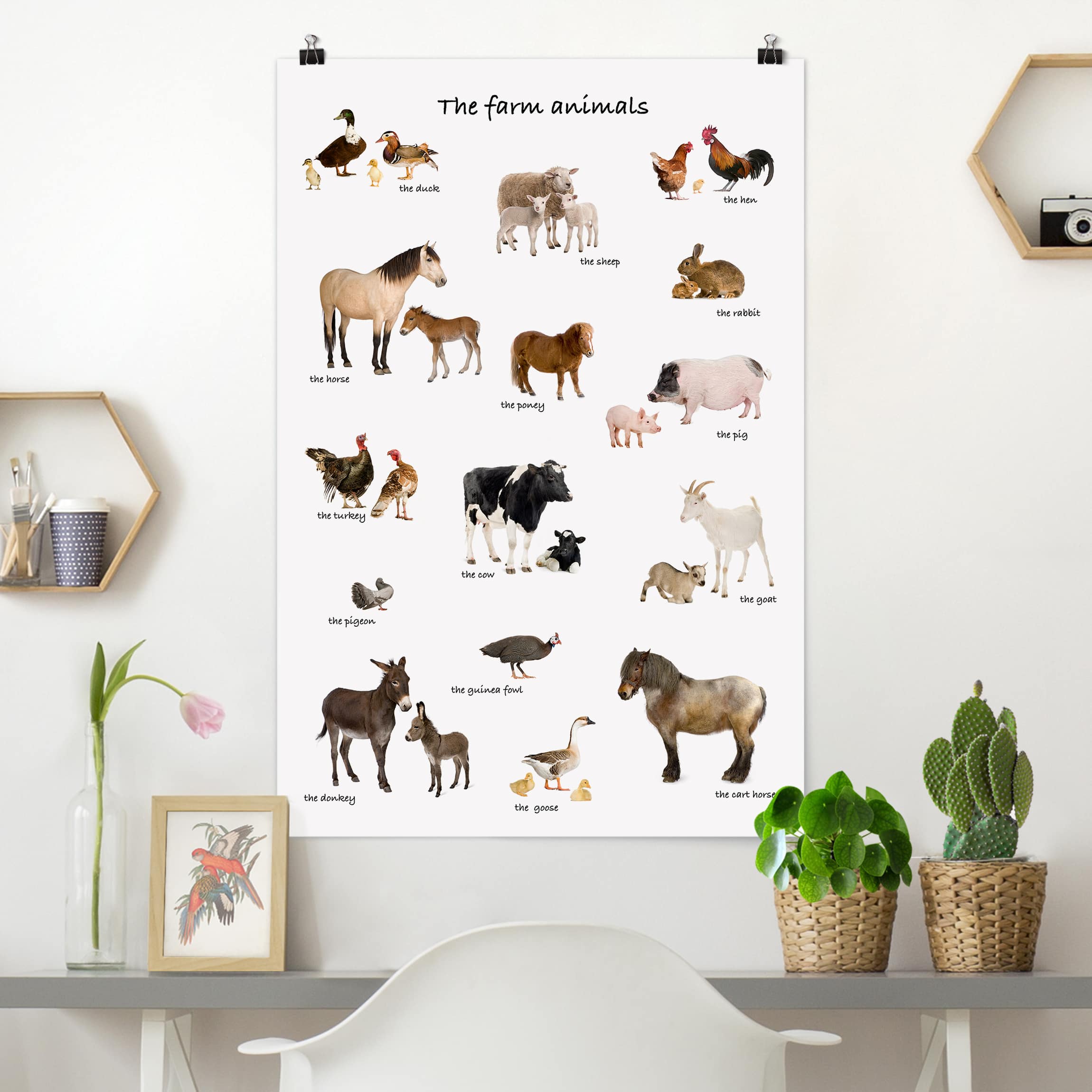 Poster - Hochformat Farm Animals