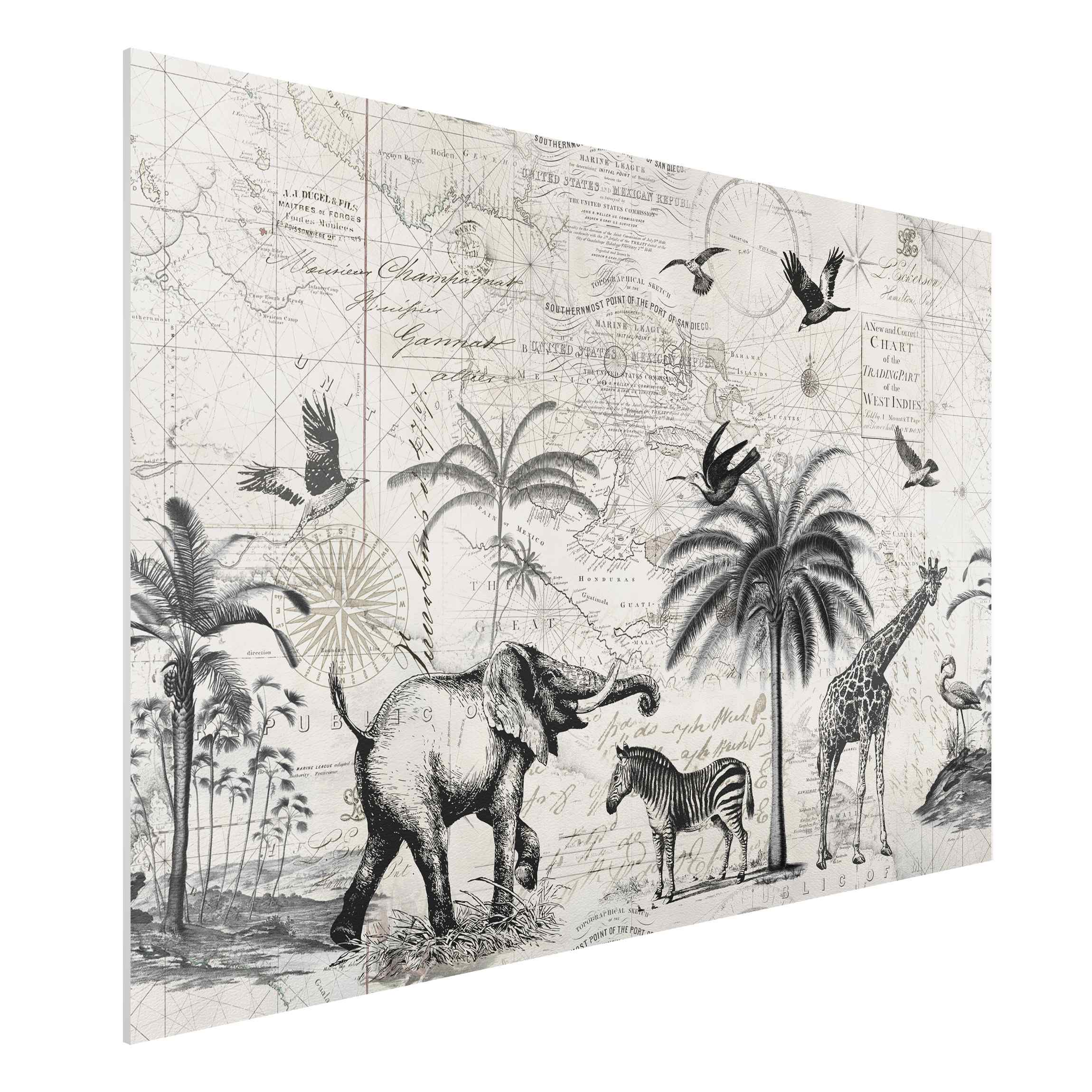 Forexbild Vintage Collage - Exotische Landkarte