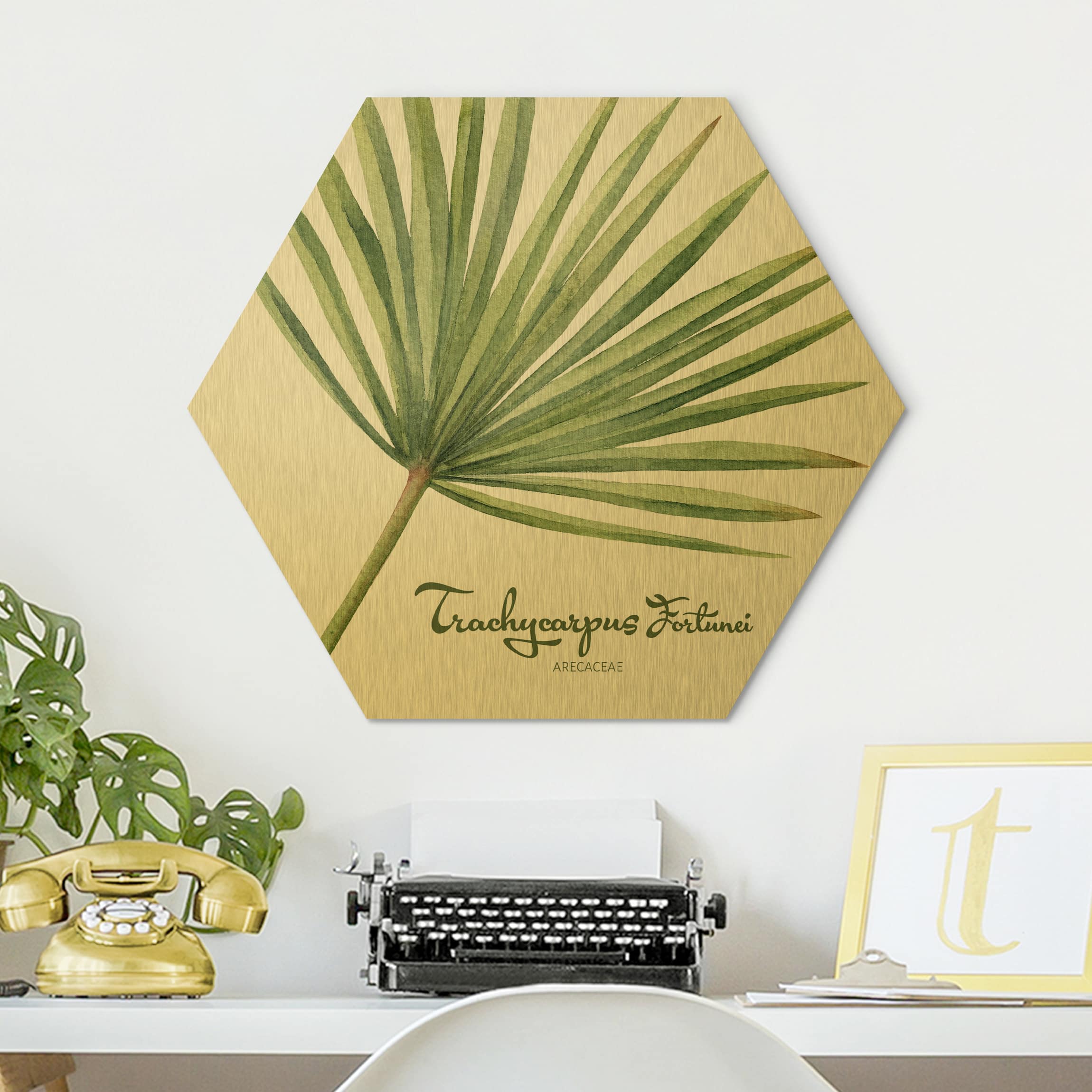Hexagon-Alu-Dibond Bild Aquarell Botanik Trachycarpus fortunei