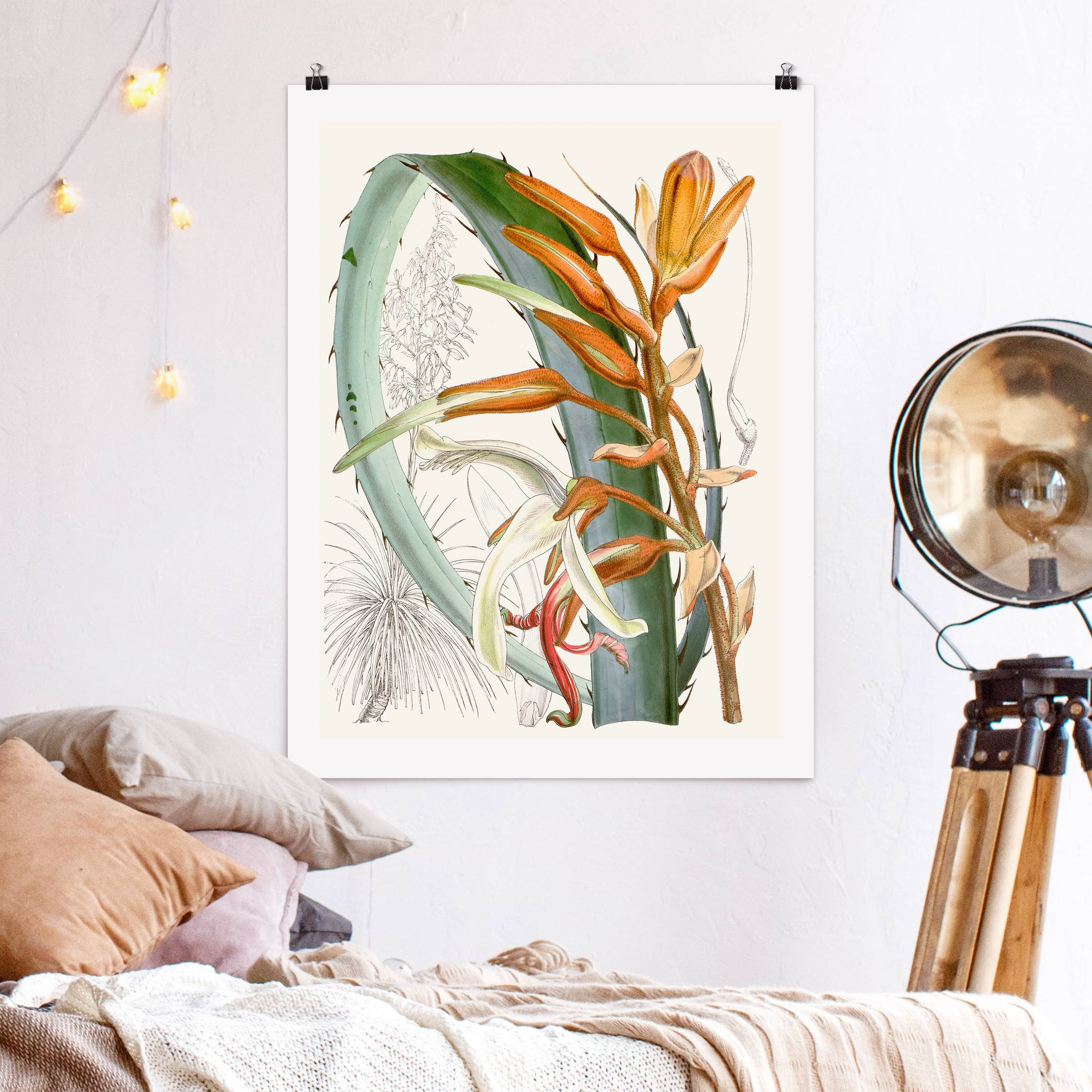 Poster Vintage Illustration Tropische Blüten I