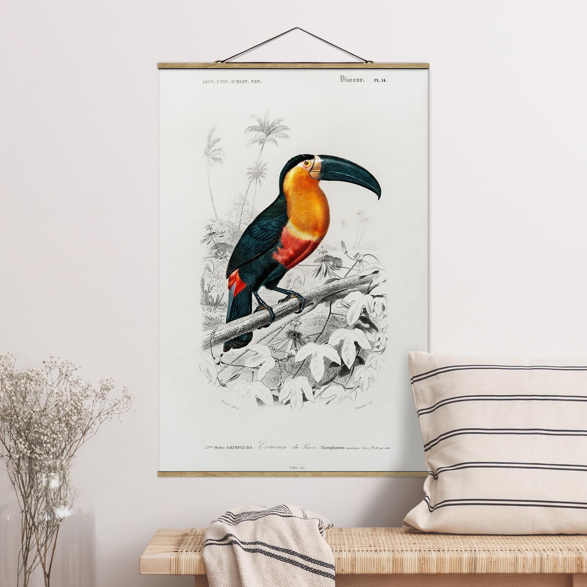 Stoffbild mit Posterleisten Vintage Lehrtafel Tukan Schwarz Gelb