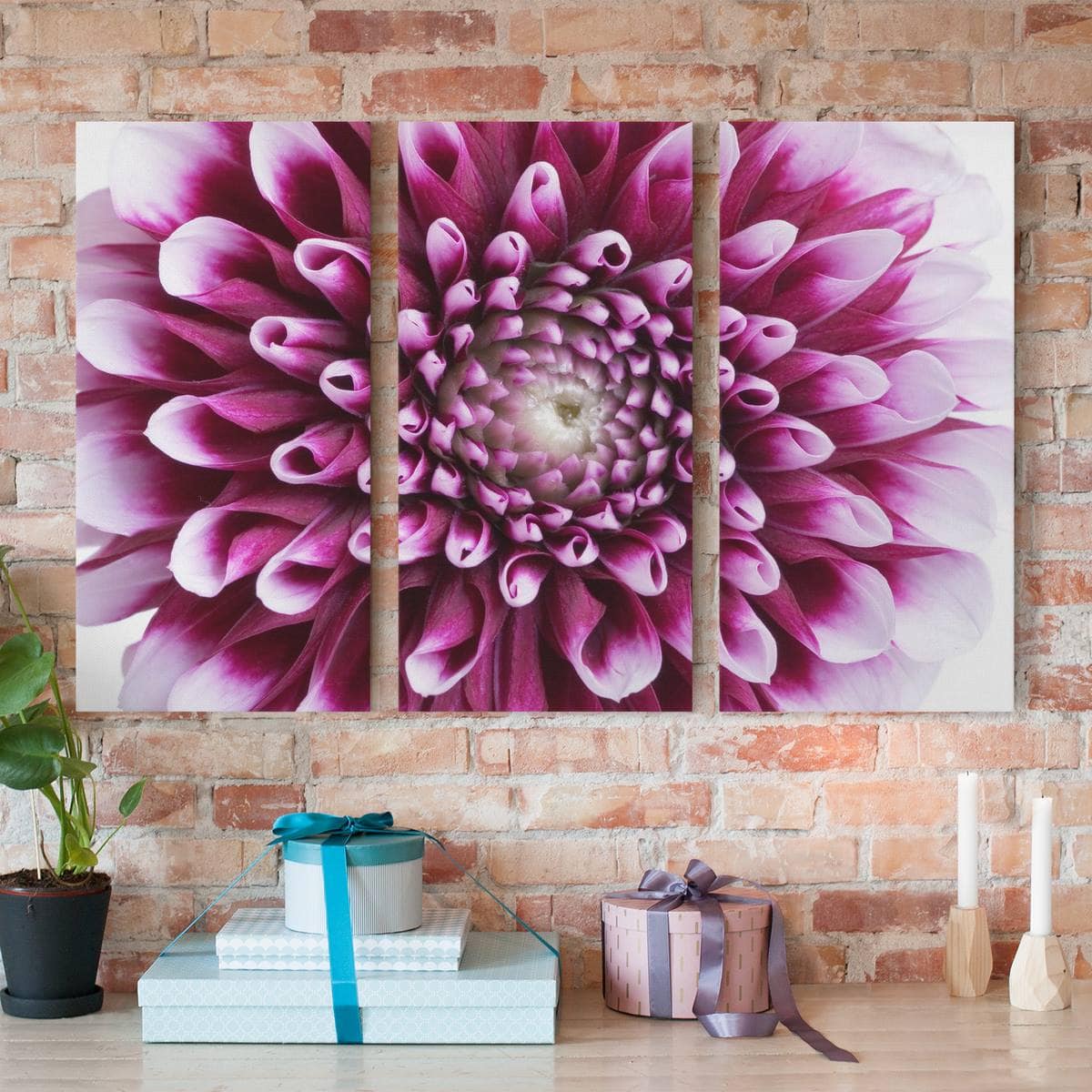 3-teiliges Leinwandbild Blumen Aster