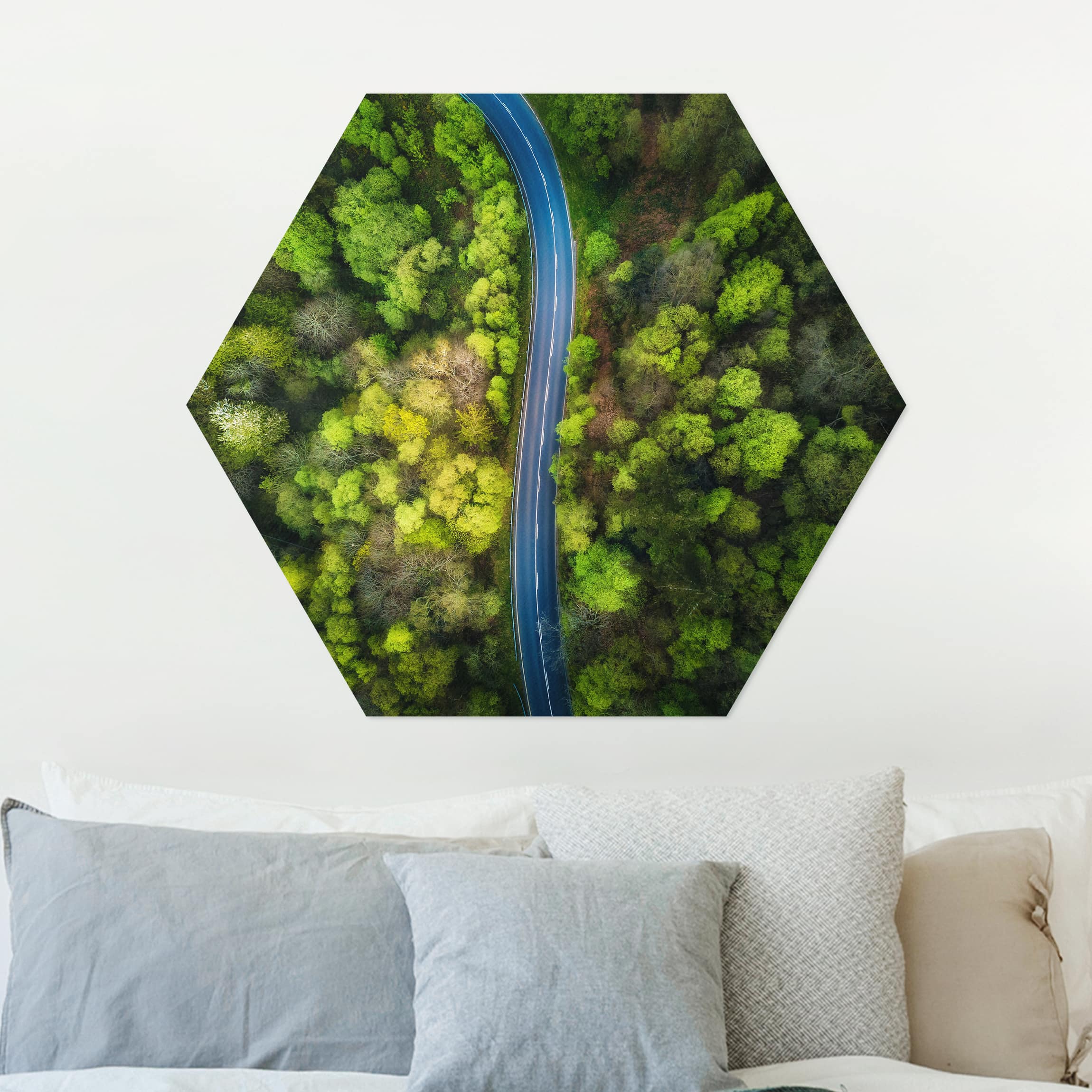 Hexagon-Alu-Dibond Bild Luftbild - Asphaltstraße im Wald