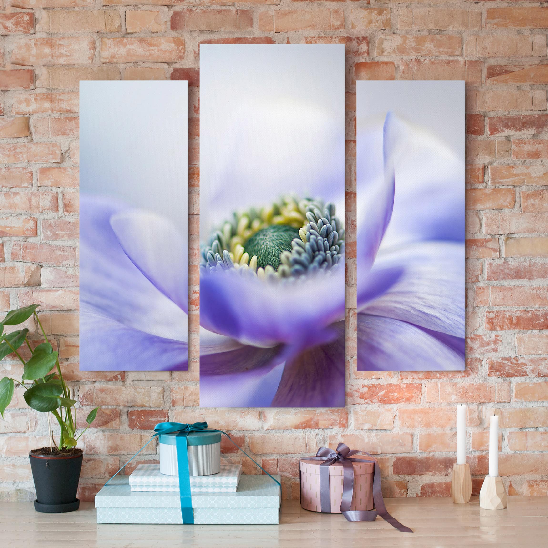 3-teiliges Leinwandbild Blumen Anemone De Caen