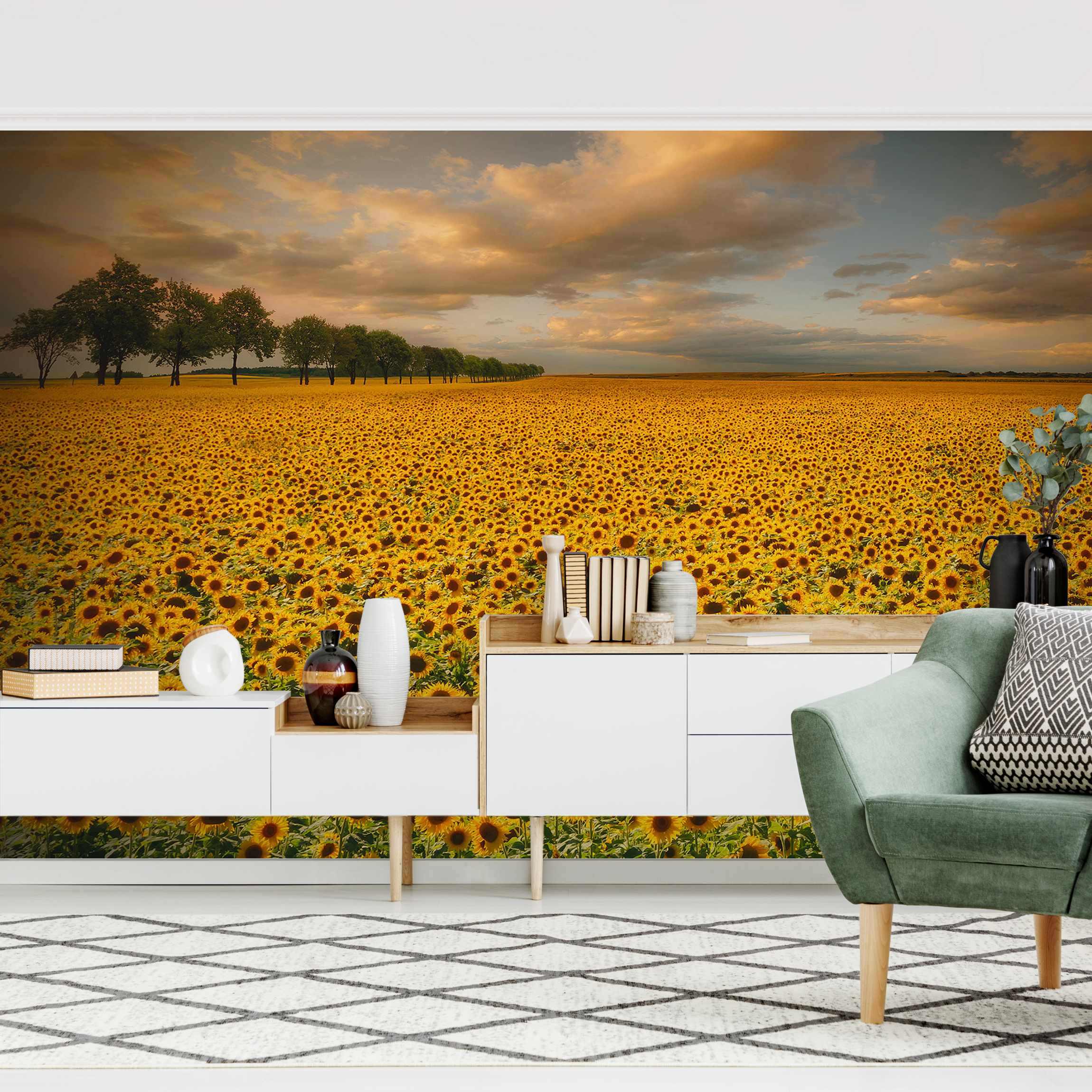 Fototapete Feld mit Sonnenblumen