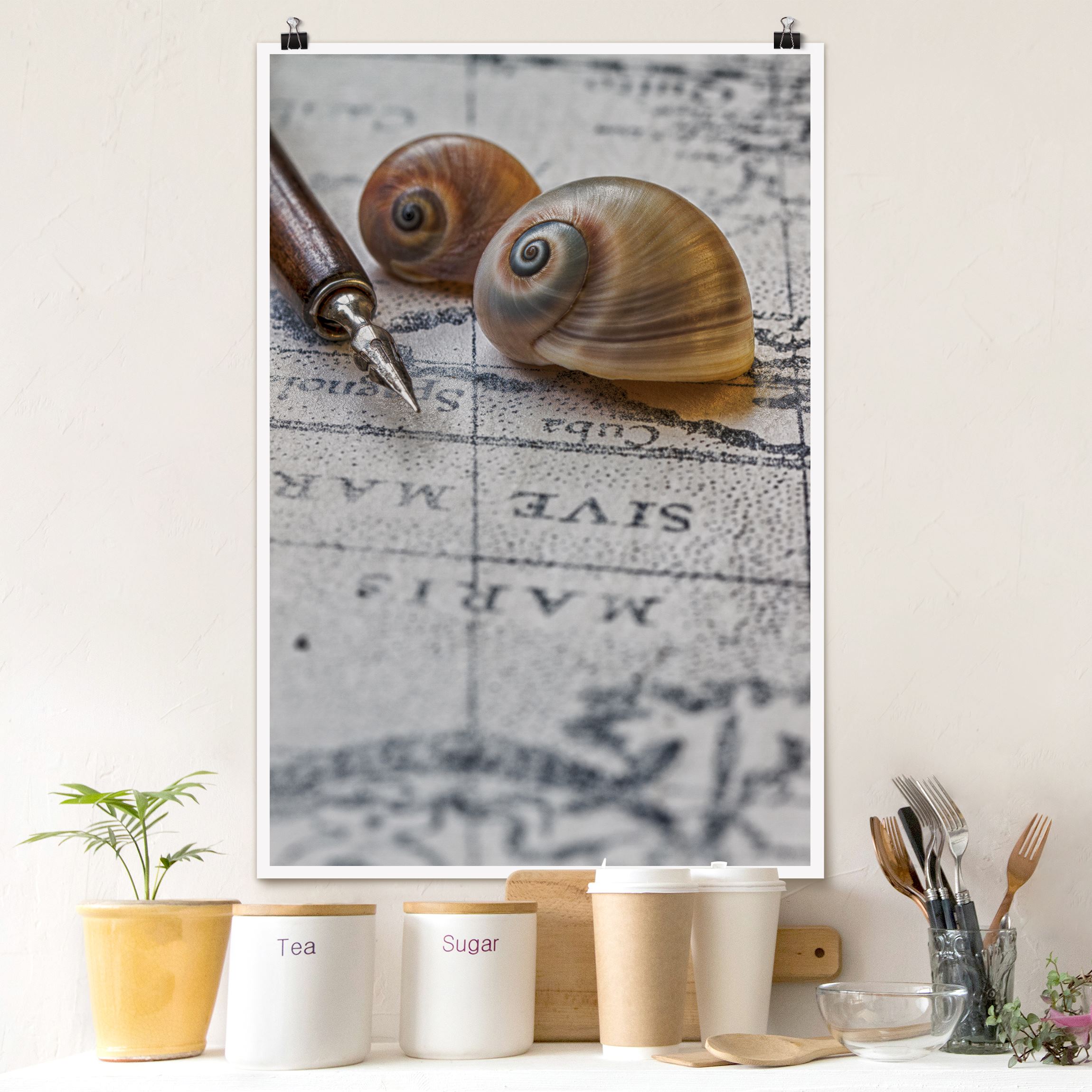 Poster Muscheln und Füller Vintage