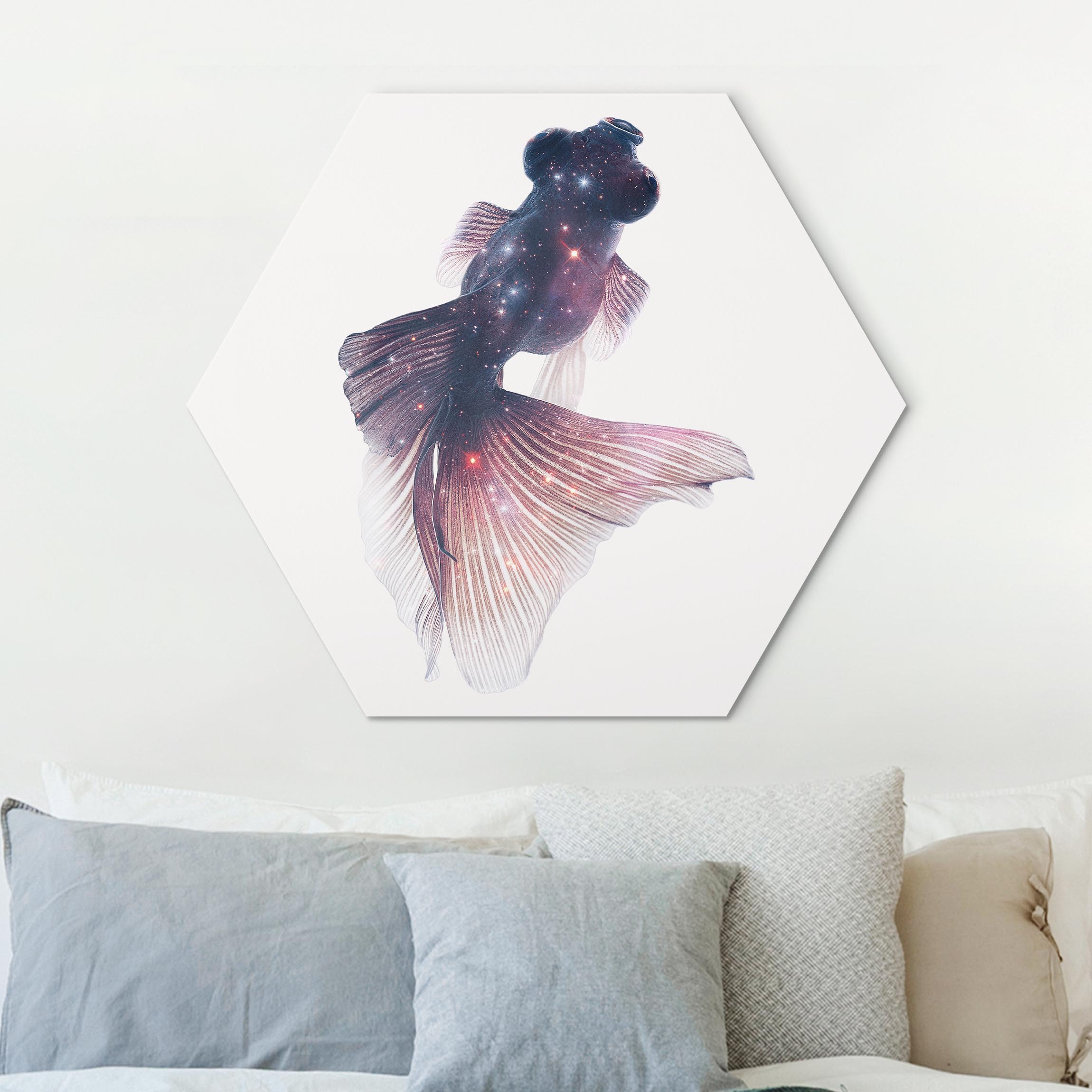 Hexagon-Alu-Dibond Bild Fisch mit Galaxie