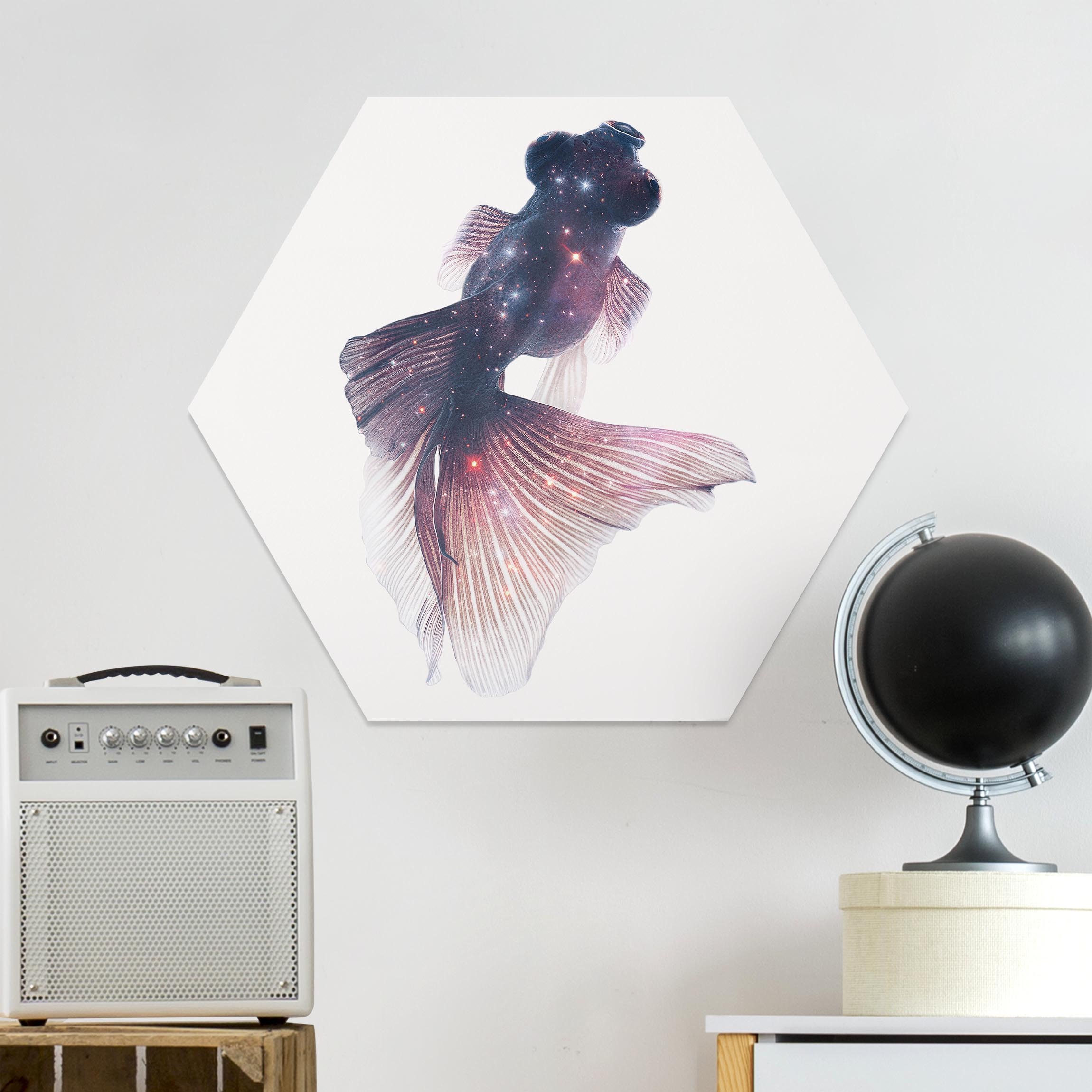 Hexagon-Forexbild Fische Ying & Yang