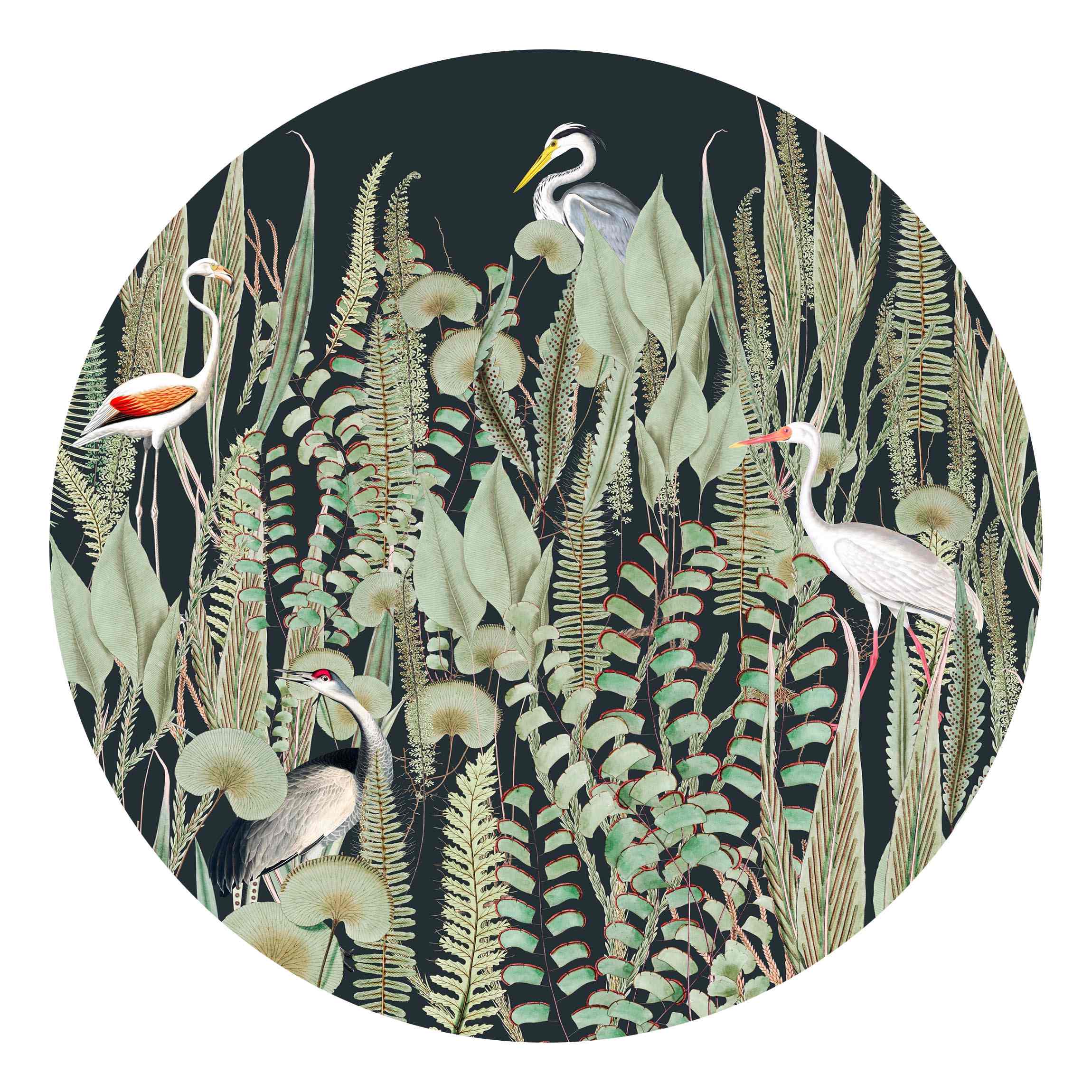 Runde Fototapete Flamingo und Storch mit Pflanzen auf Grün
