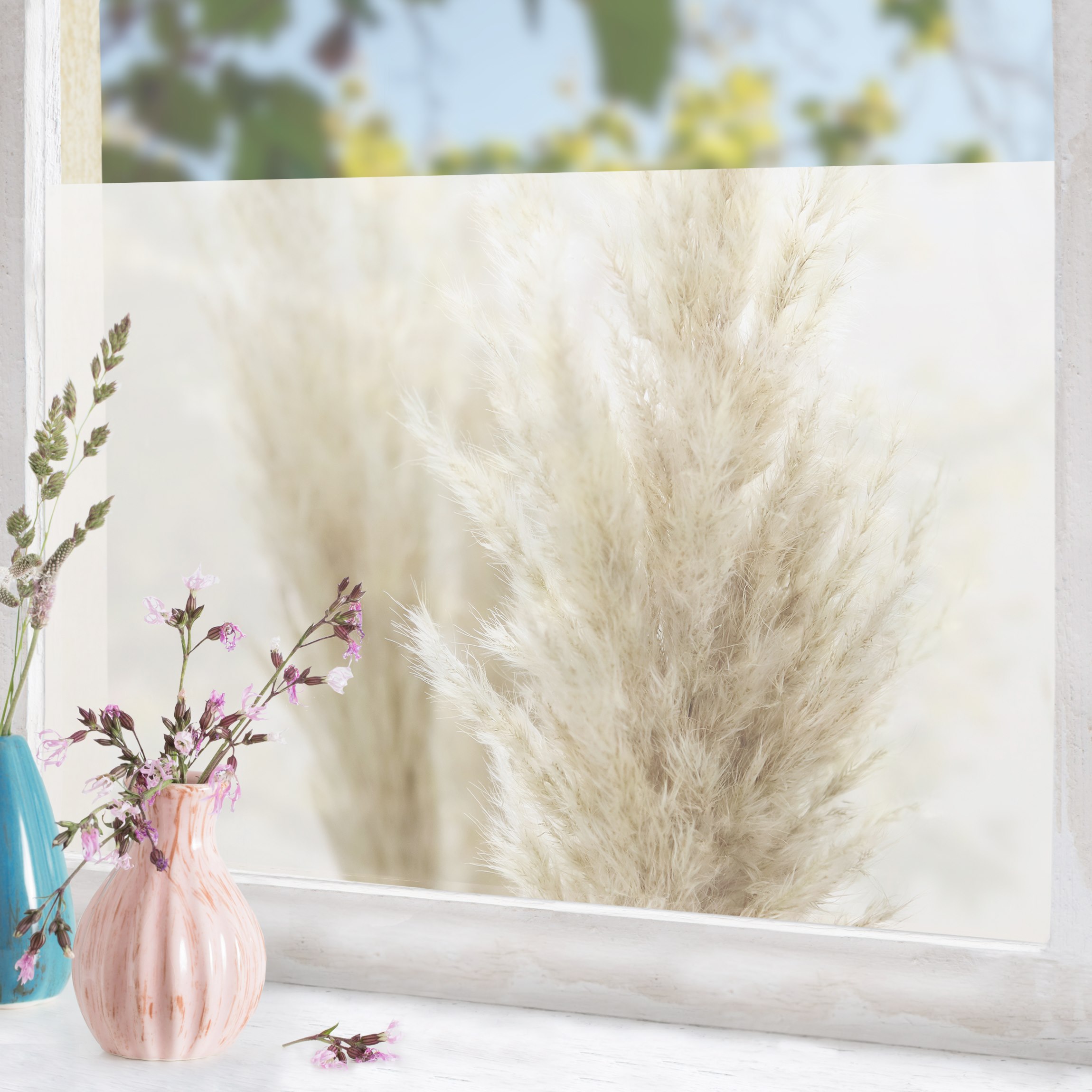Fensterfolie Flauschiges Pampasgras