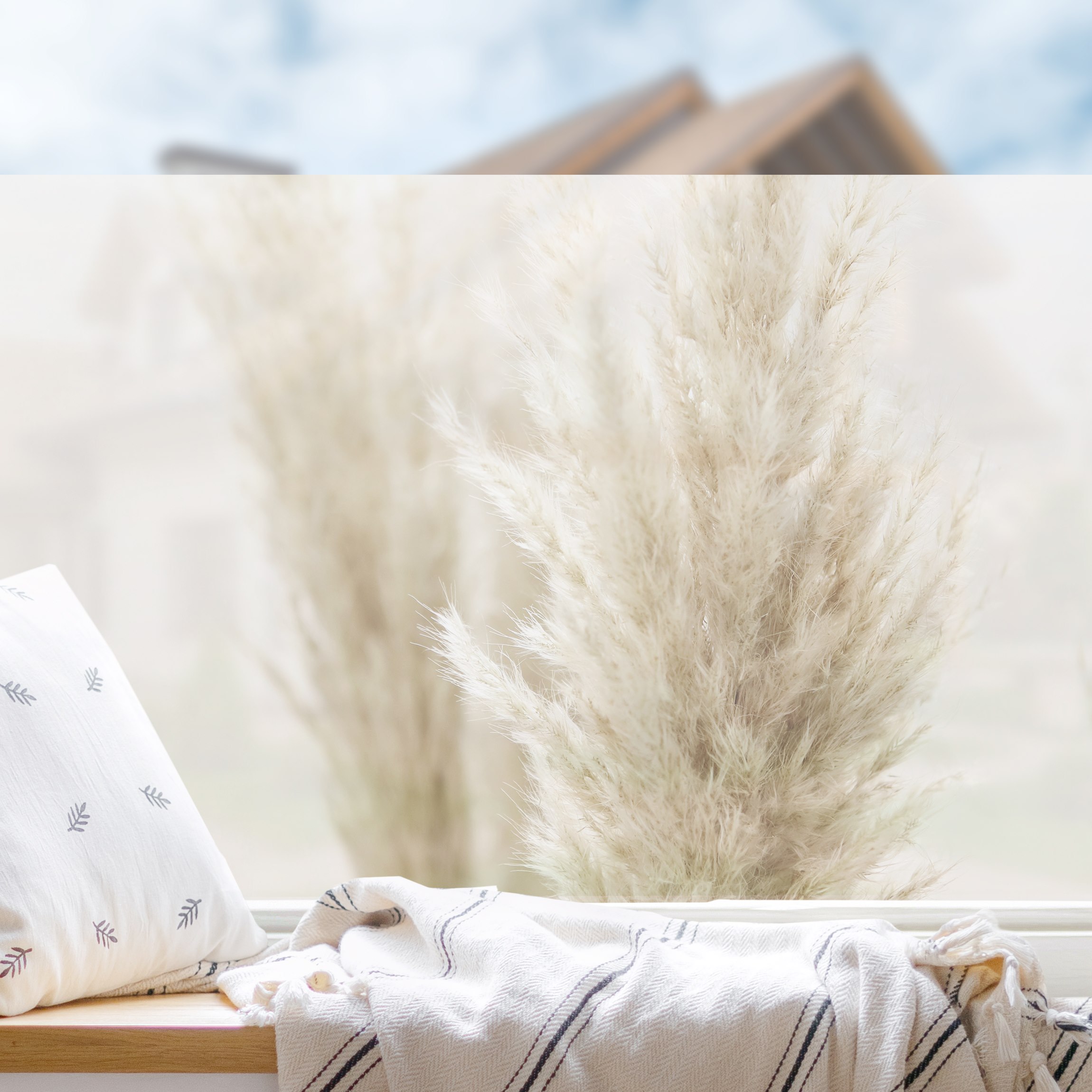 Fensterfolie Flauschiges Pampasgras