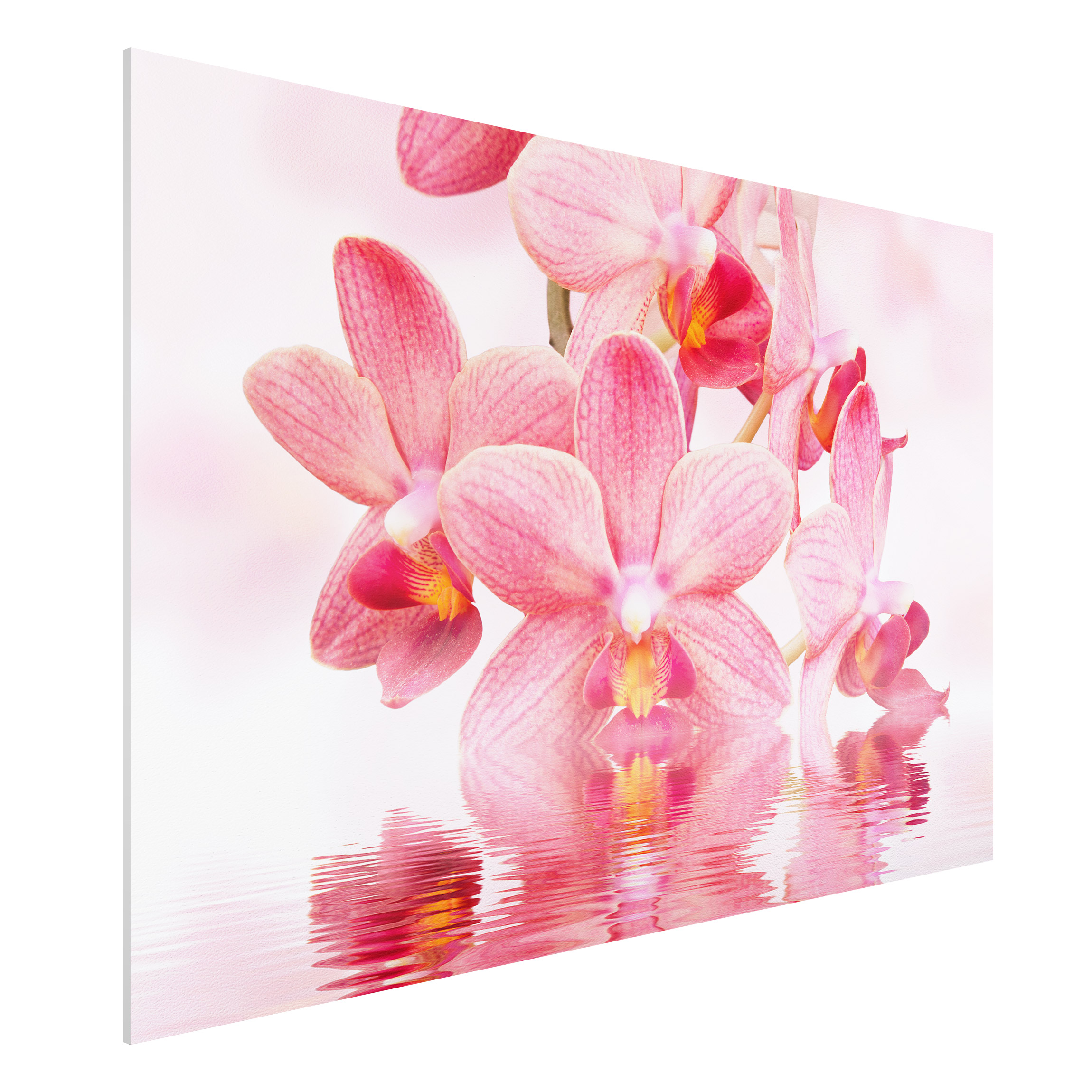 Forexbild Rosa Orchideen auf Wasser