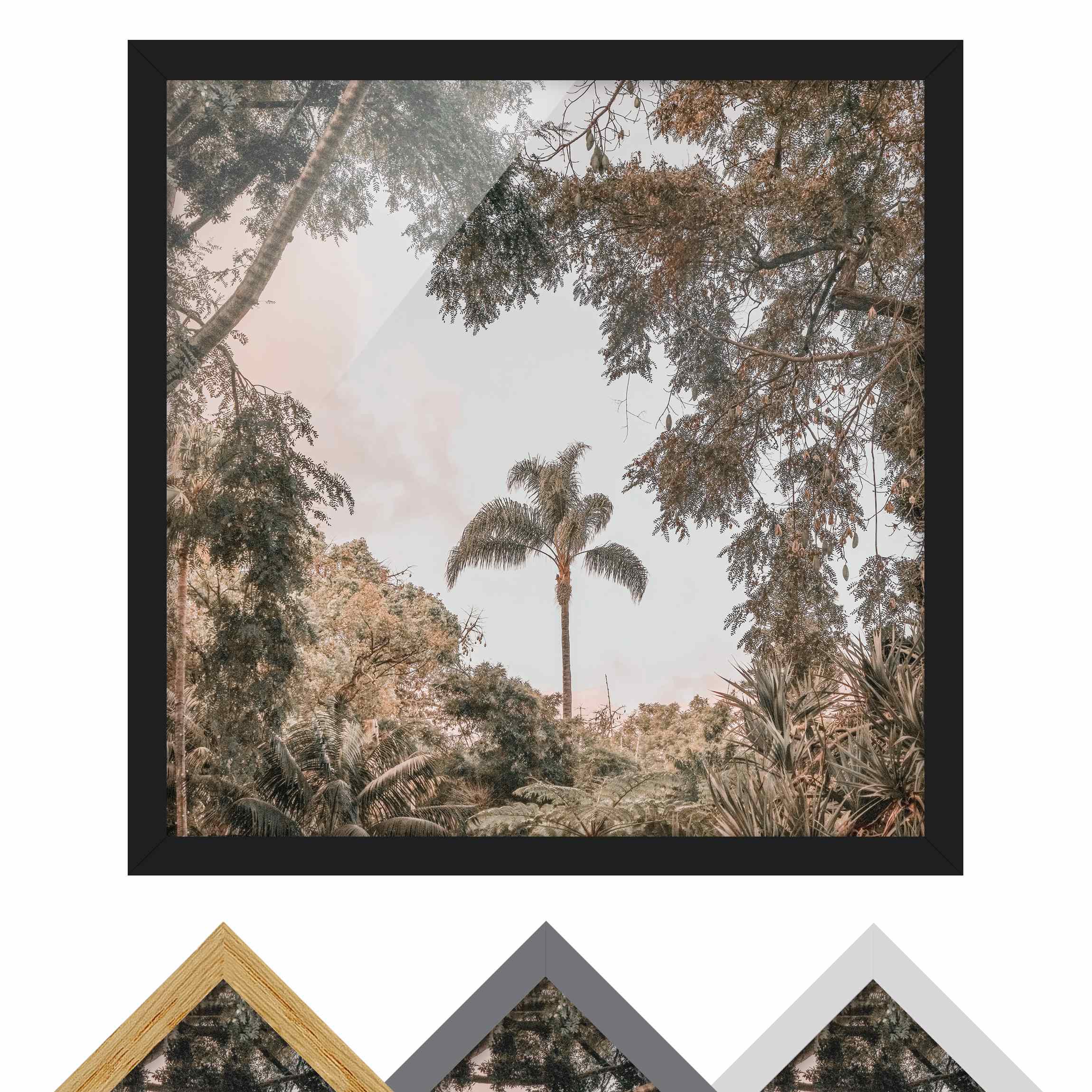 Bild mit Rahmen Garten auf Madeira