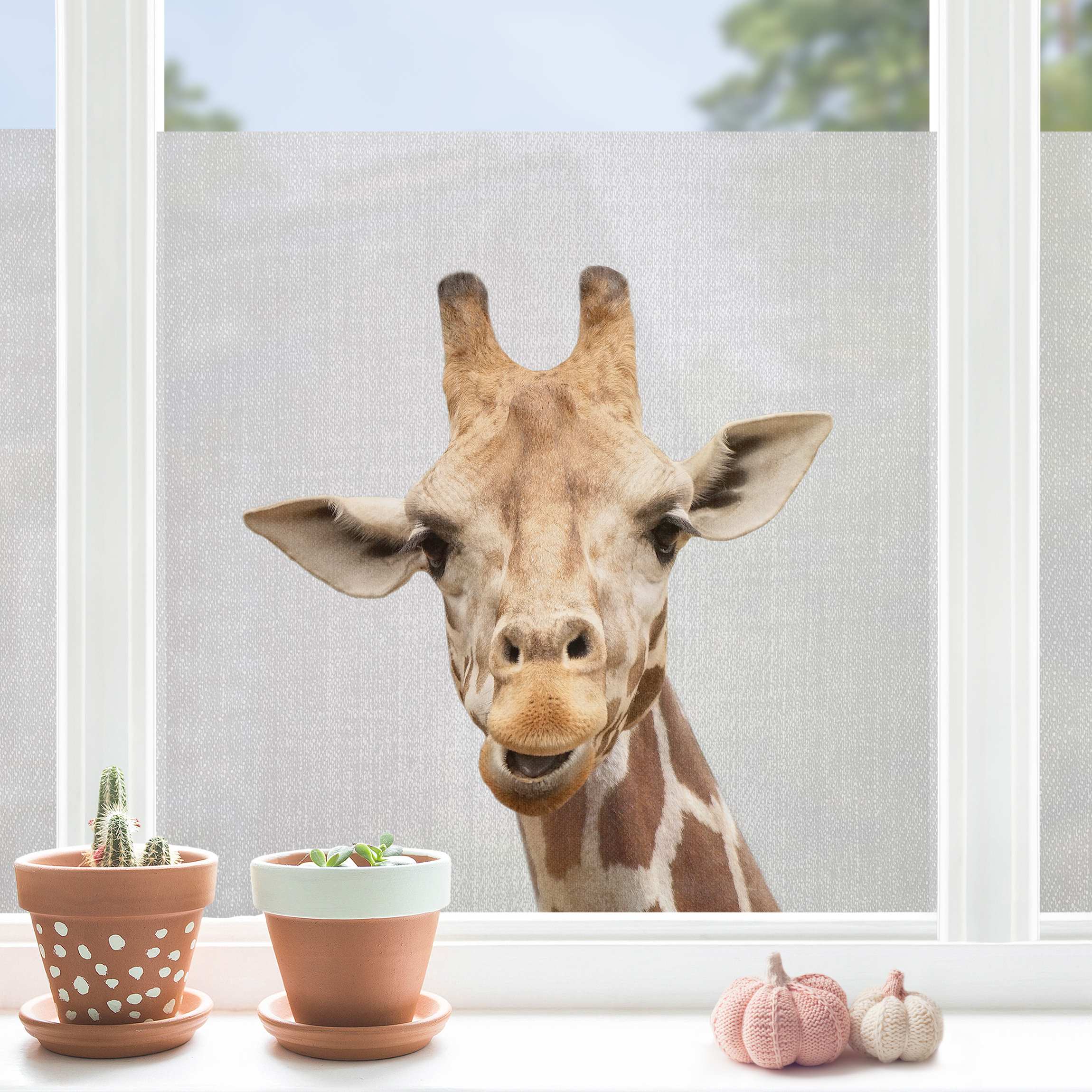 Fensterfolie Giraffe Gundel