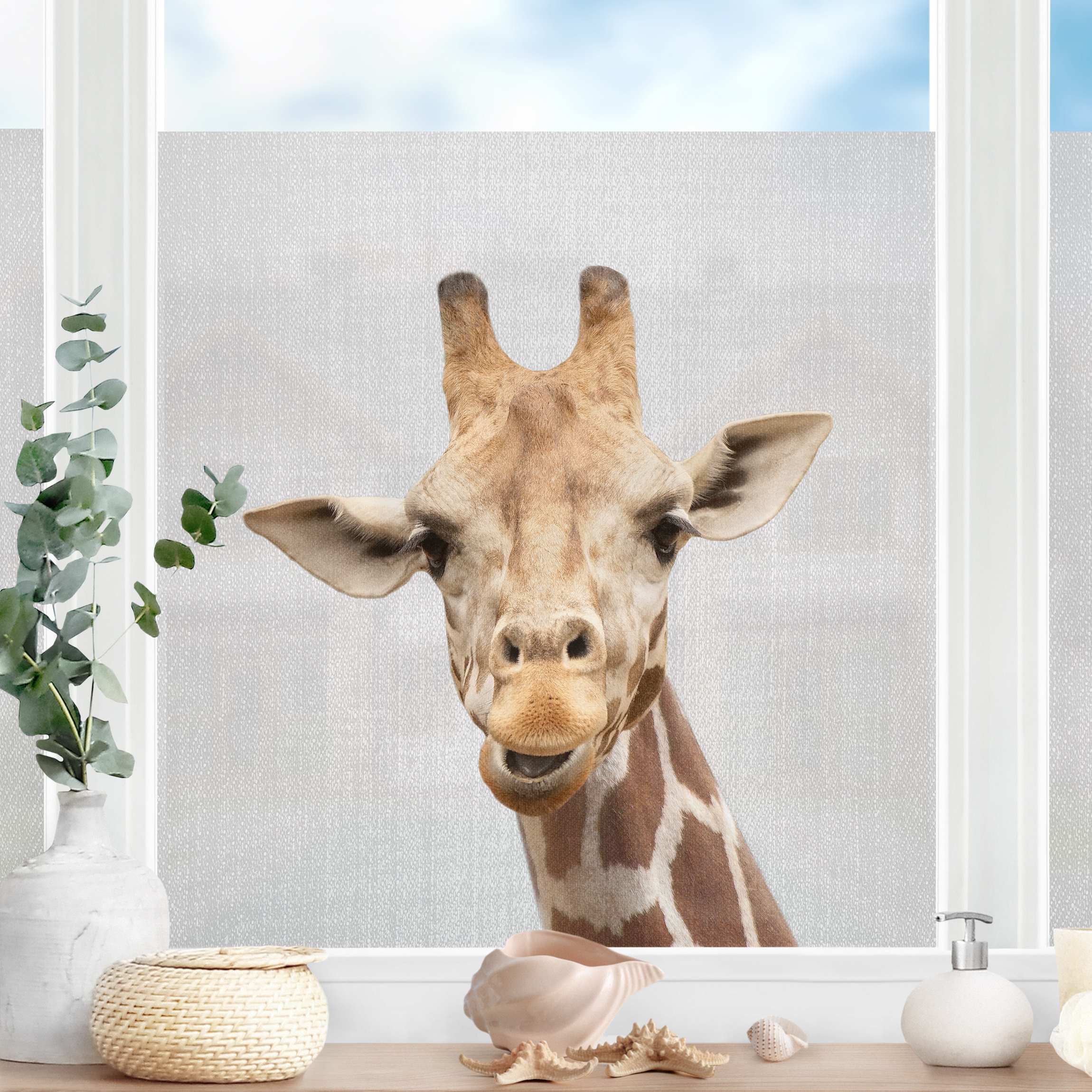 Fensterfolie Giraffe Gundel