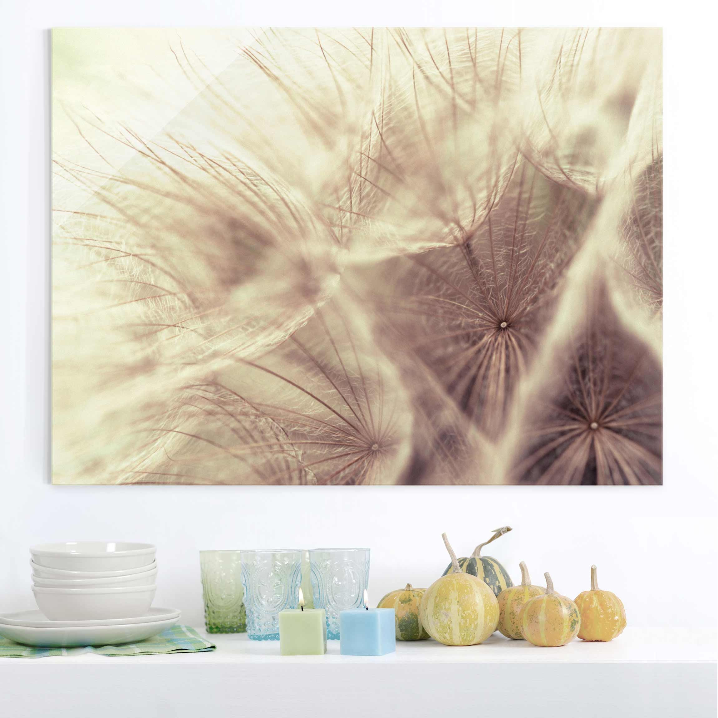 Glasbild - Quadrat Detailreiche Pusteblumen Makro mit Vintage Blur