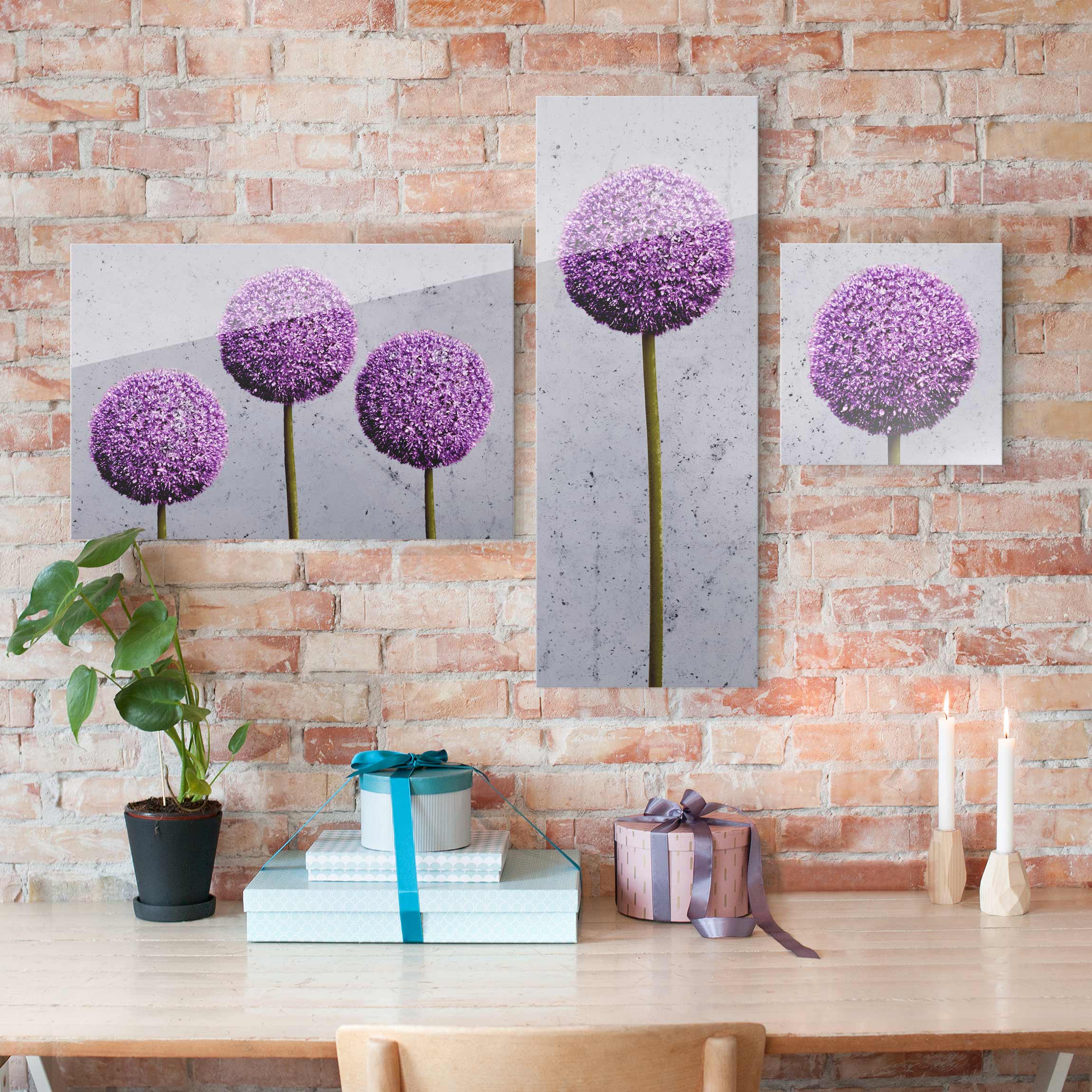3-teiliges Glasbild - Querformat Allium Kugel-Blüten
