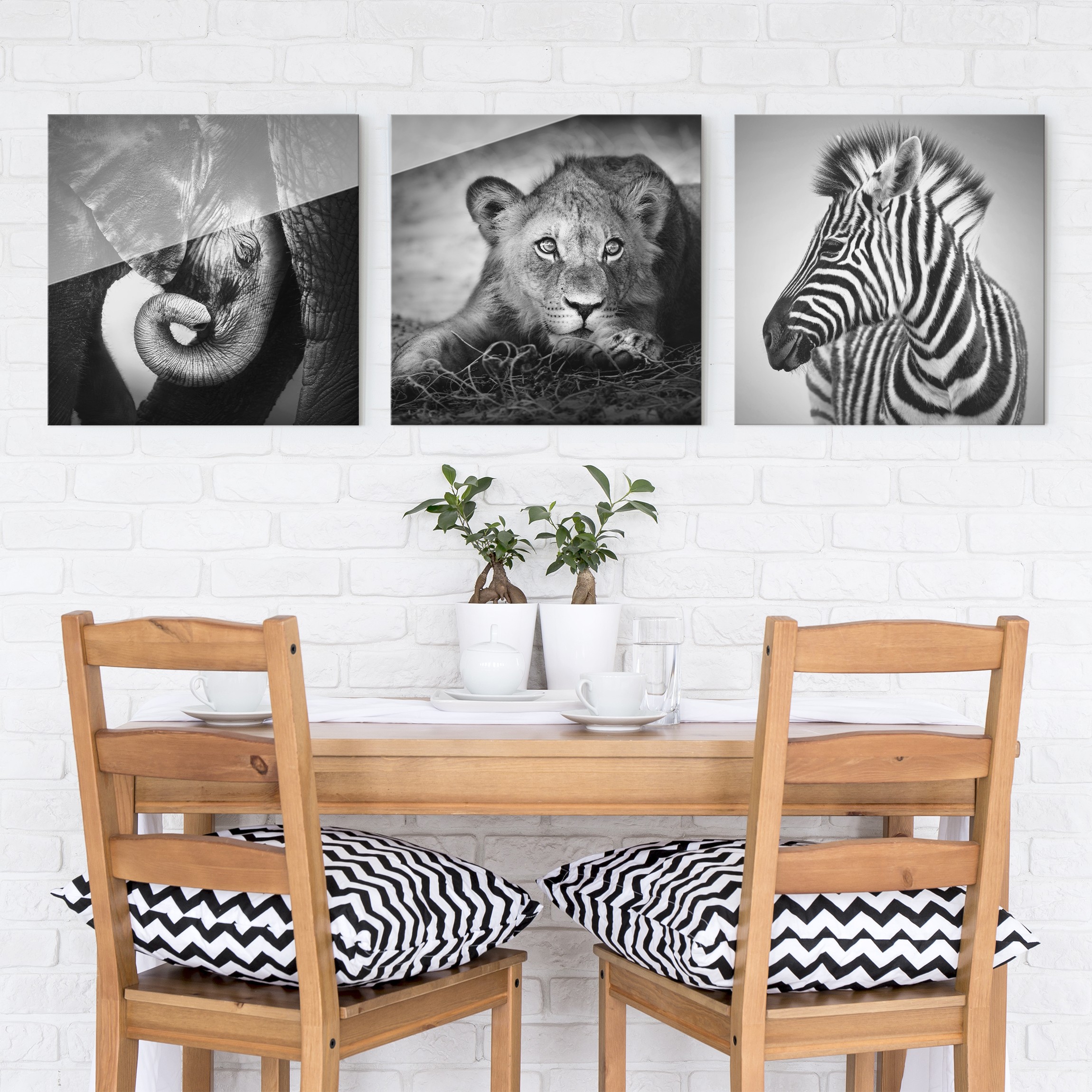 3-teiliges Glasbild Tiere Babytiere