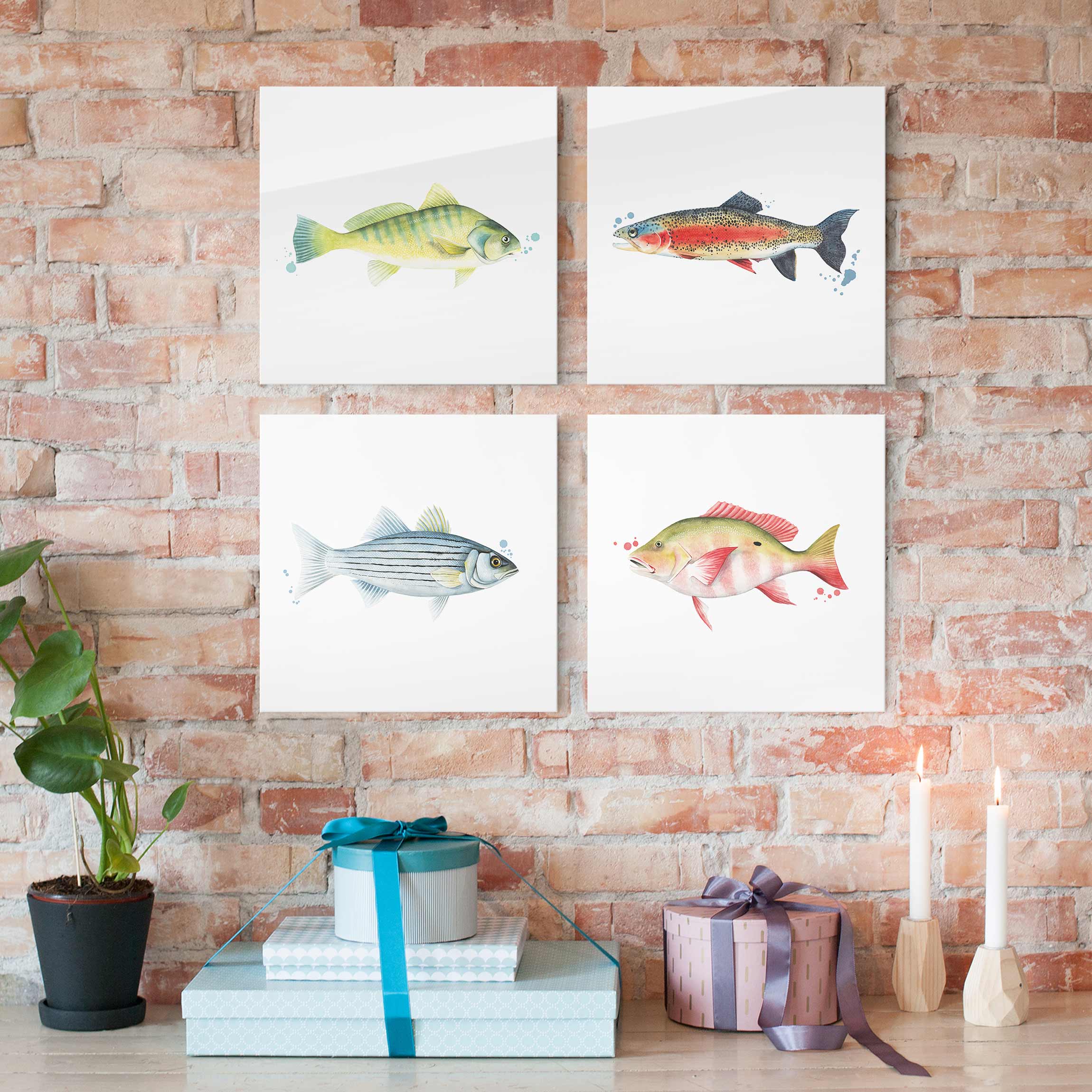 4-teiliges Glasbild Farbfang - Fische Set I