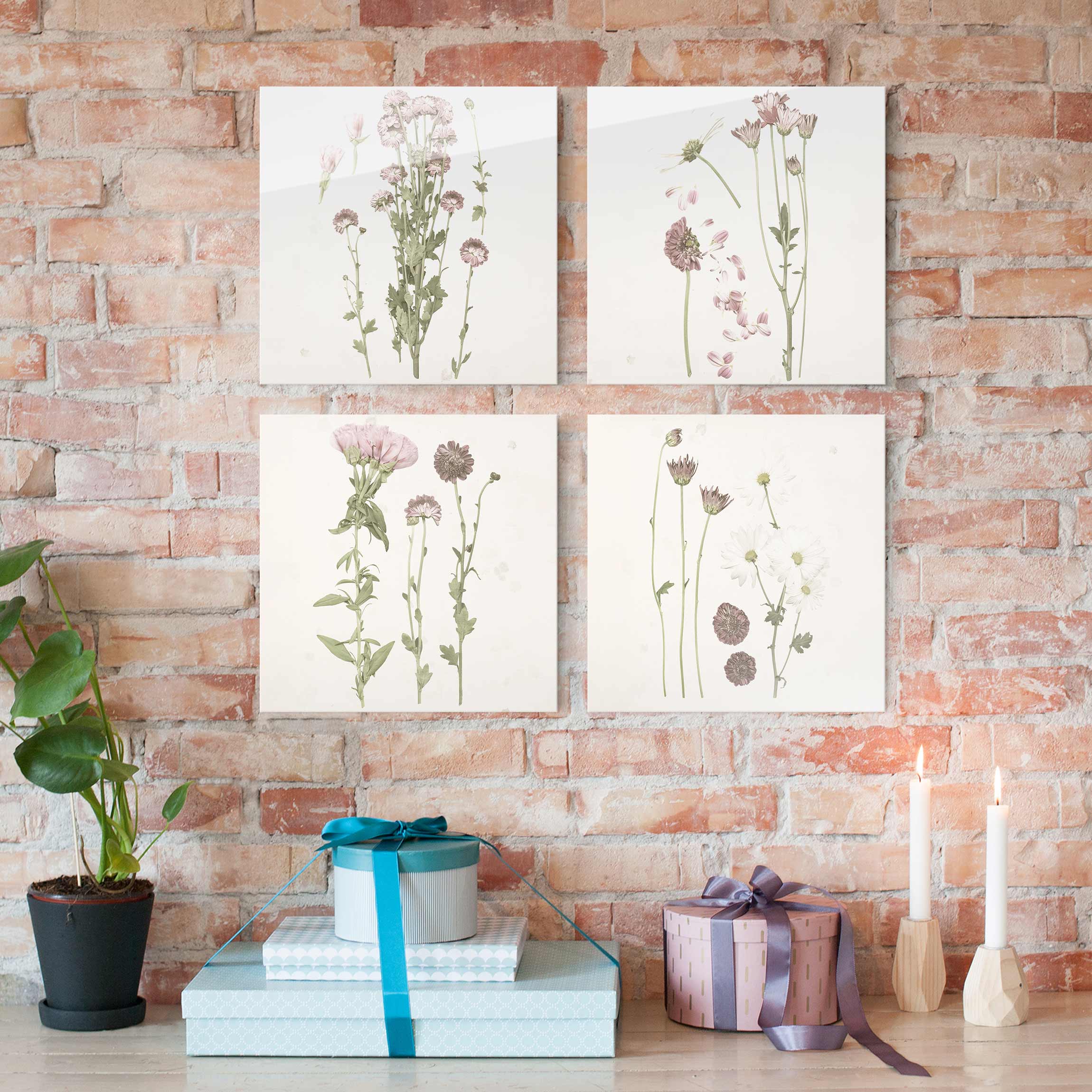 4-teiliges Glasbild - Quadrat Herbarium in rosa Set I