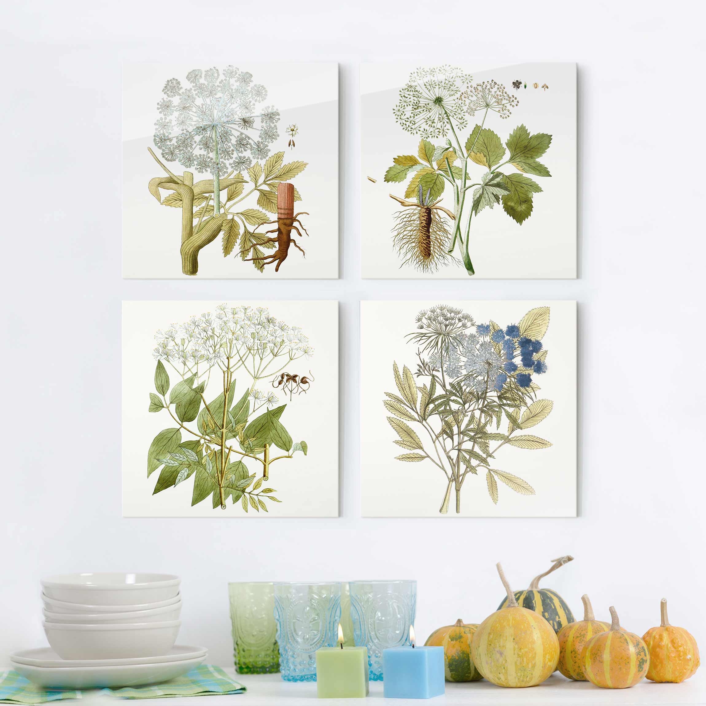 4-teiliges Glasbild - Quadrat Wildkräuter Schautfalel Set II
