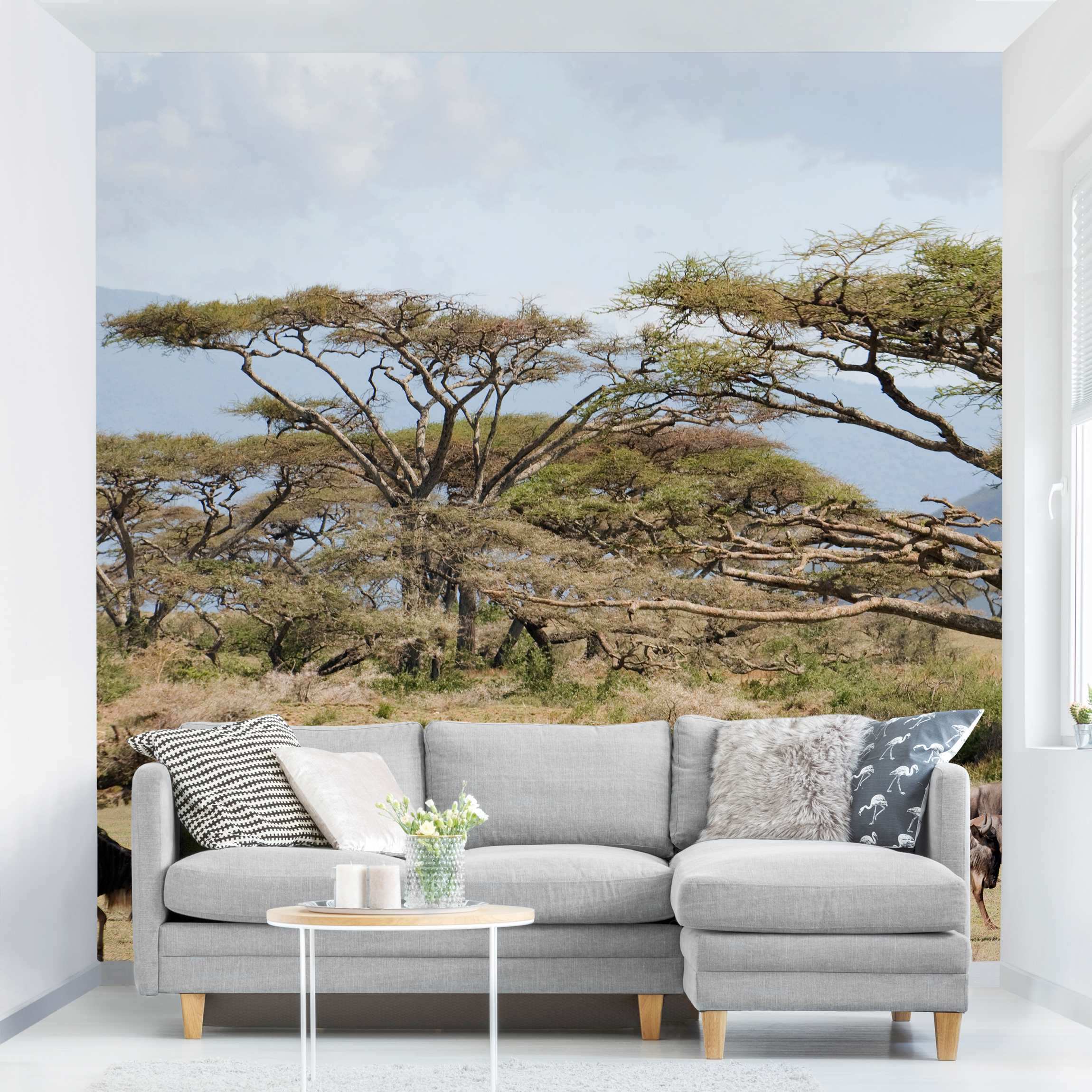 Fototapete Gnuherde in der Savanne