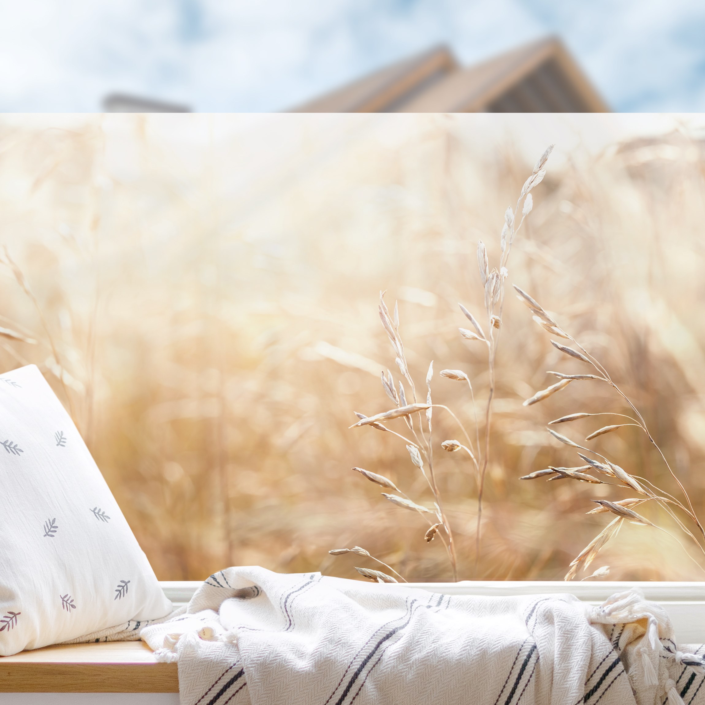 Fensterfolie Gräser im Sonnenschein