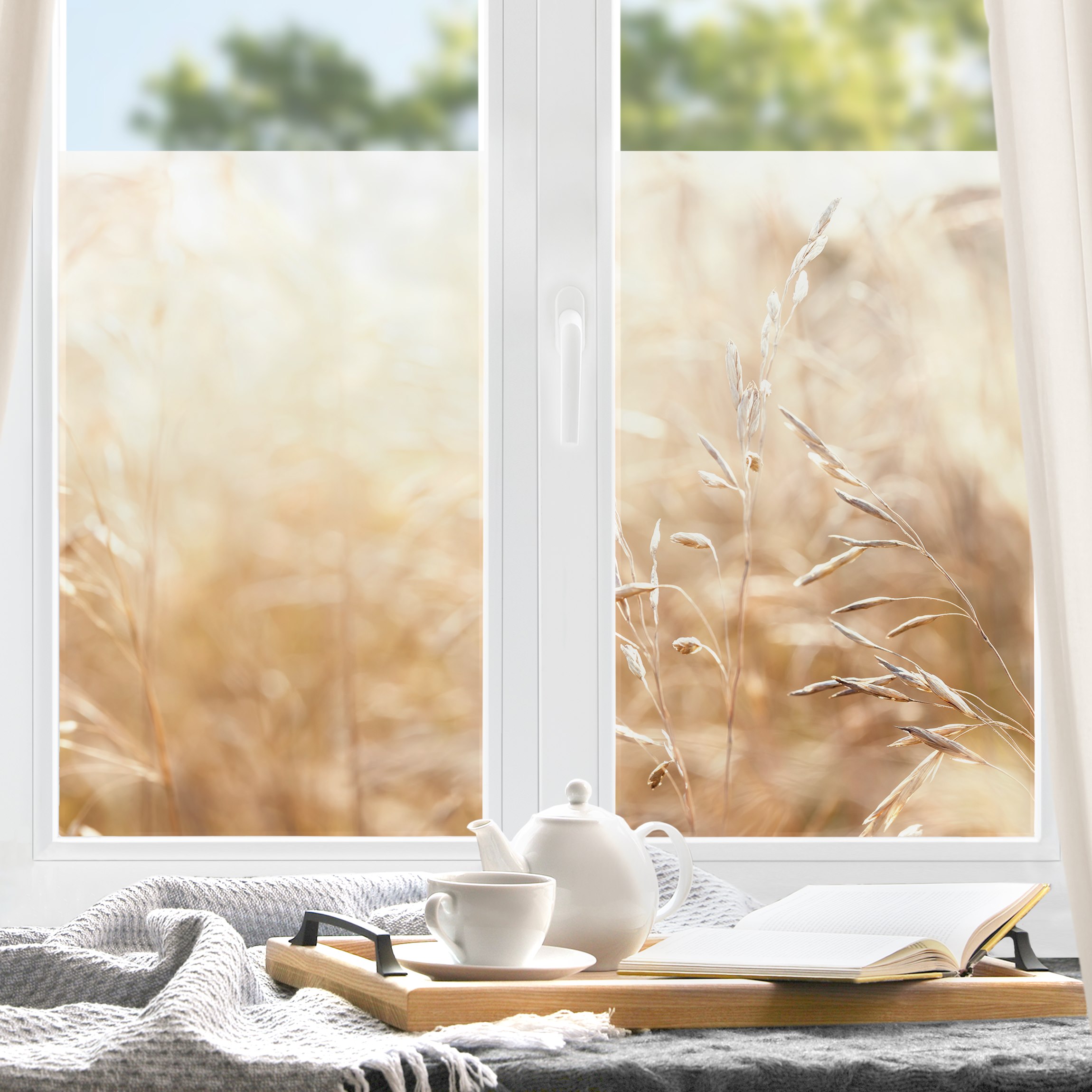 Fensterfolie Gräser im Sonnenschein