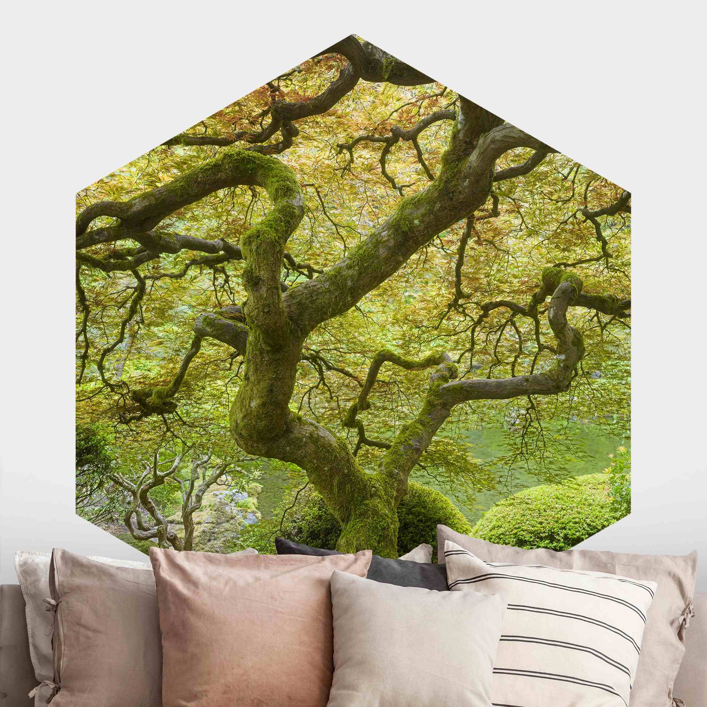 Hexagon Fototapete selbstklebend Grüner Japanischer Garten